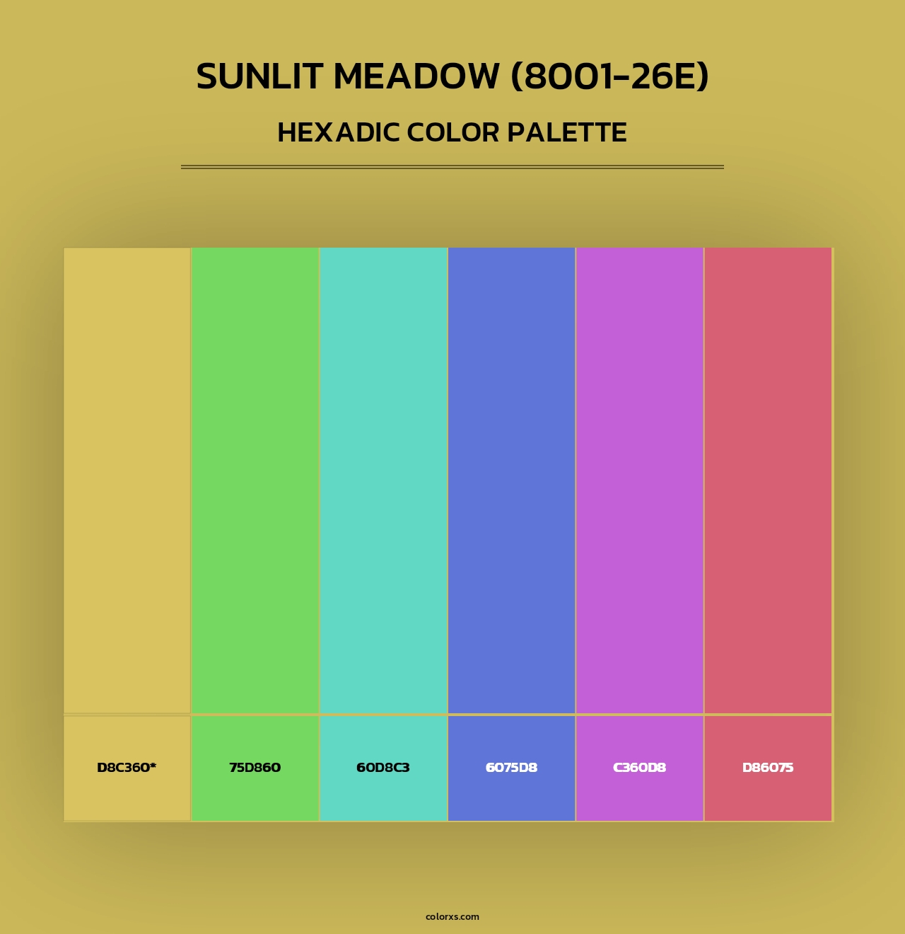 Sunlit Meadow (8001-26E) - Hexadic Color Palette