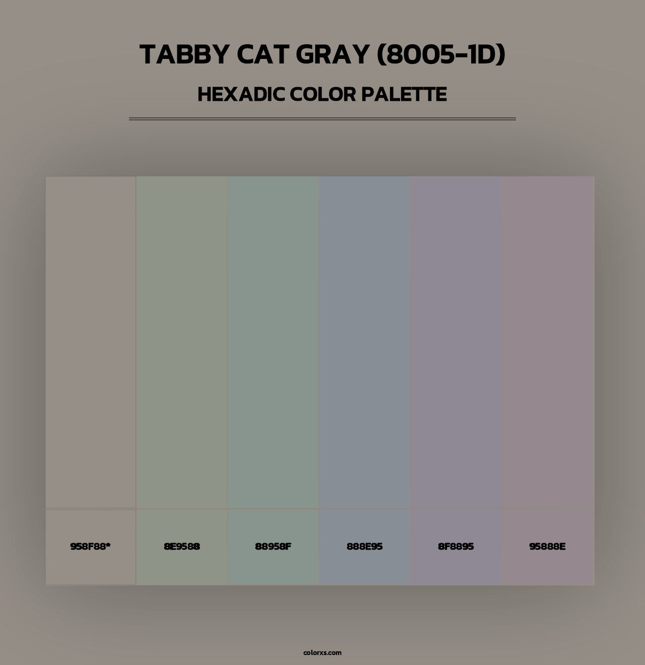 Tabby Cat Gray (8005-1D) - Hexadic Color Palette