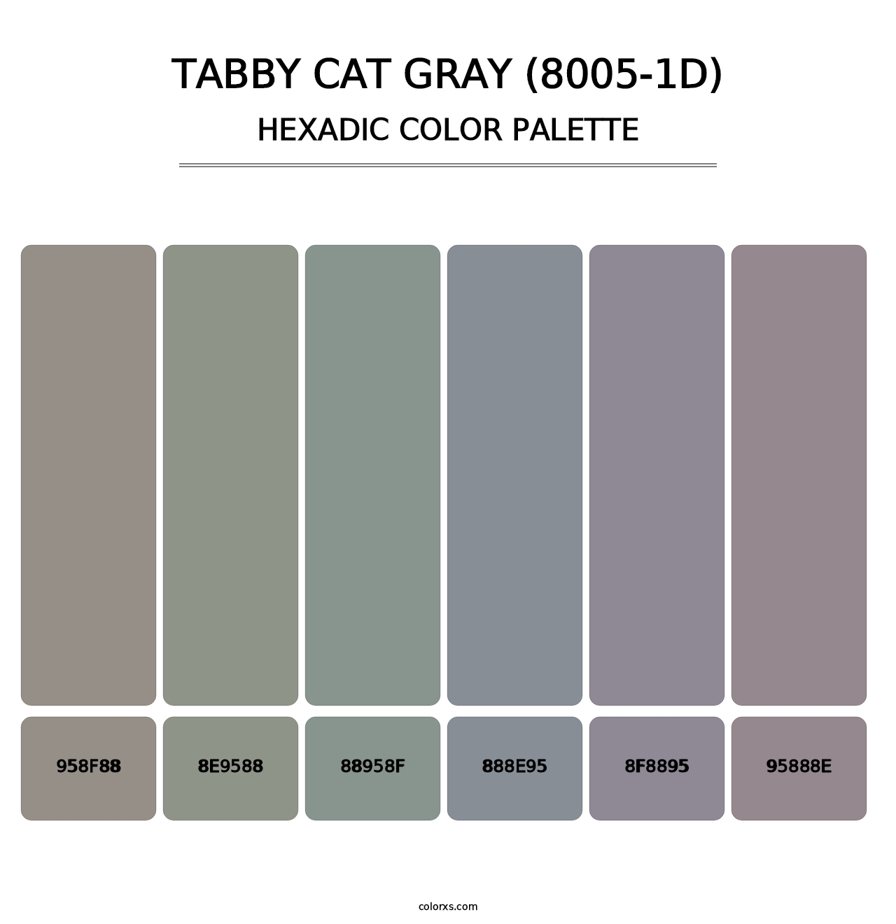 Tabby Cat Gray (8005-1D) - Hexadic Color Palette