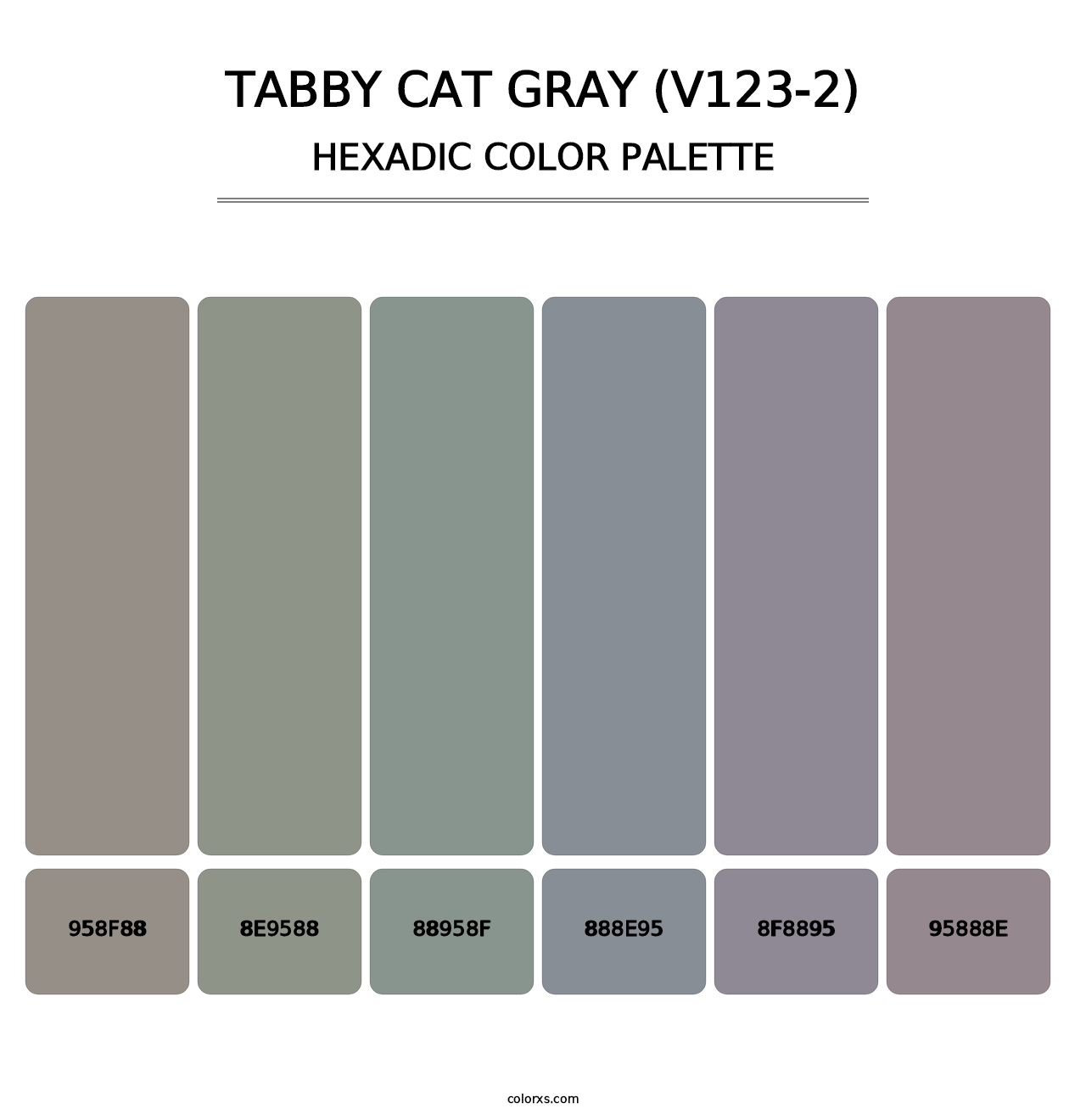 Tabby Cat Gray (V123-2) - Hexadic Color Palette