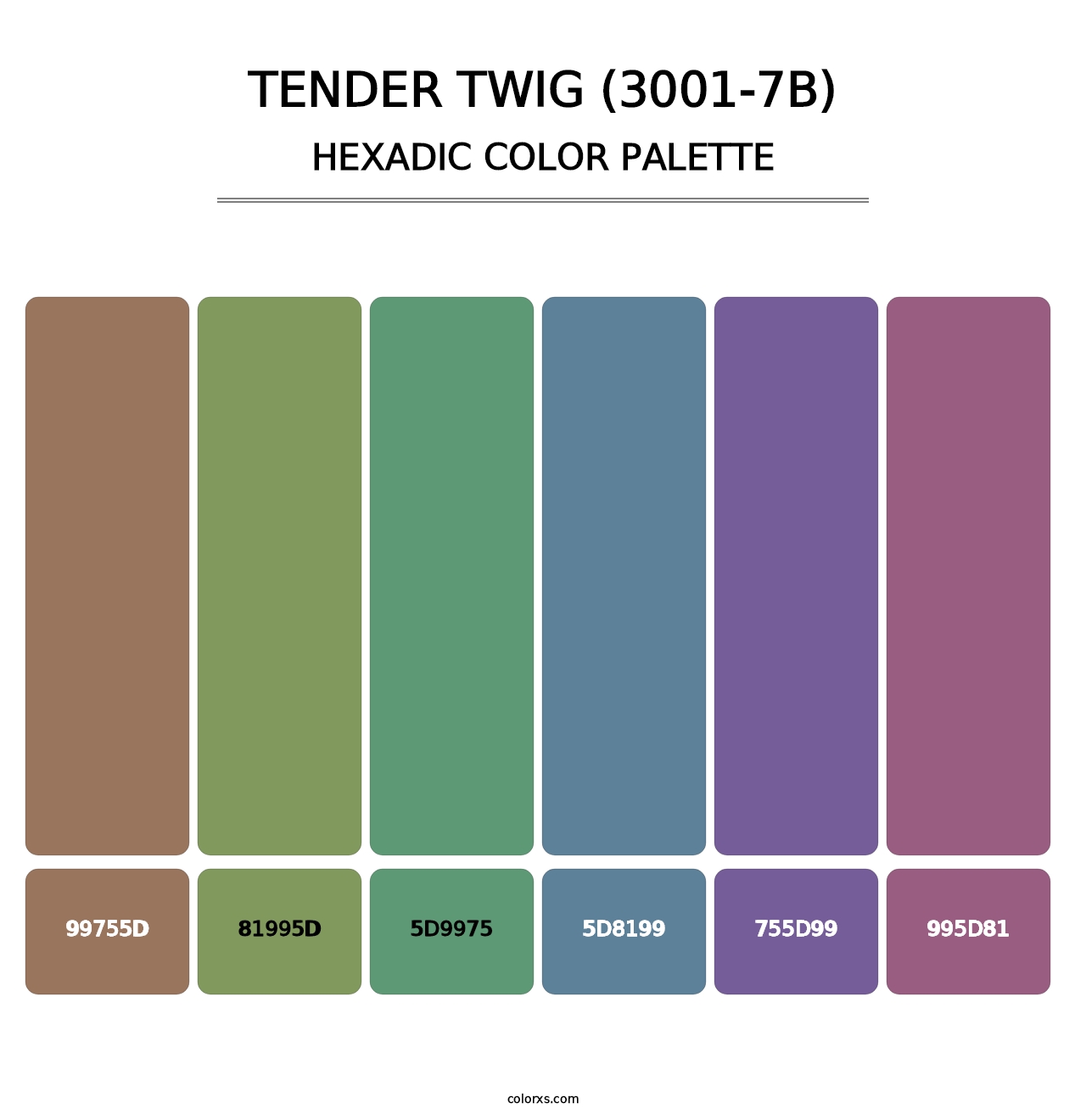 Tender Twig (3001-7B) - Hexadic Color Palette