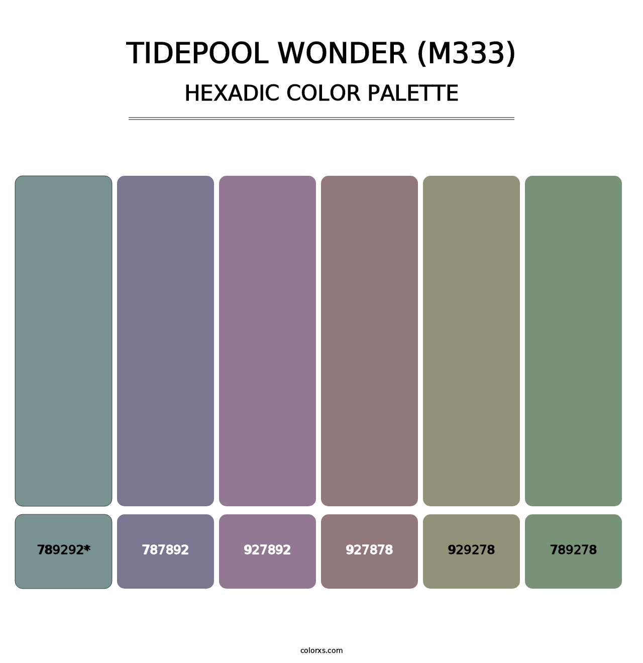 Tidepool Wonder (M333) - Hexadic Color Palette