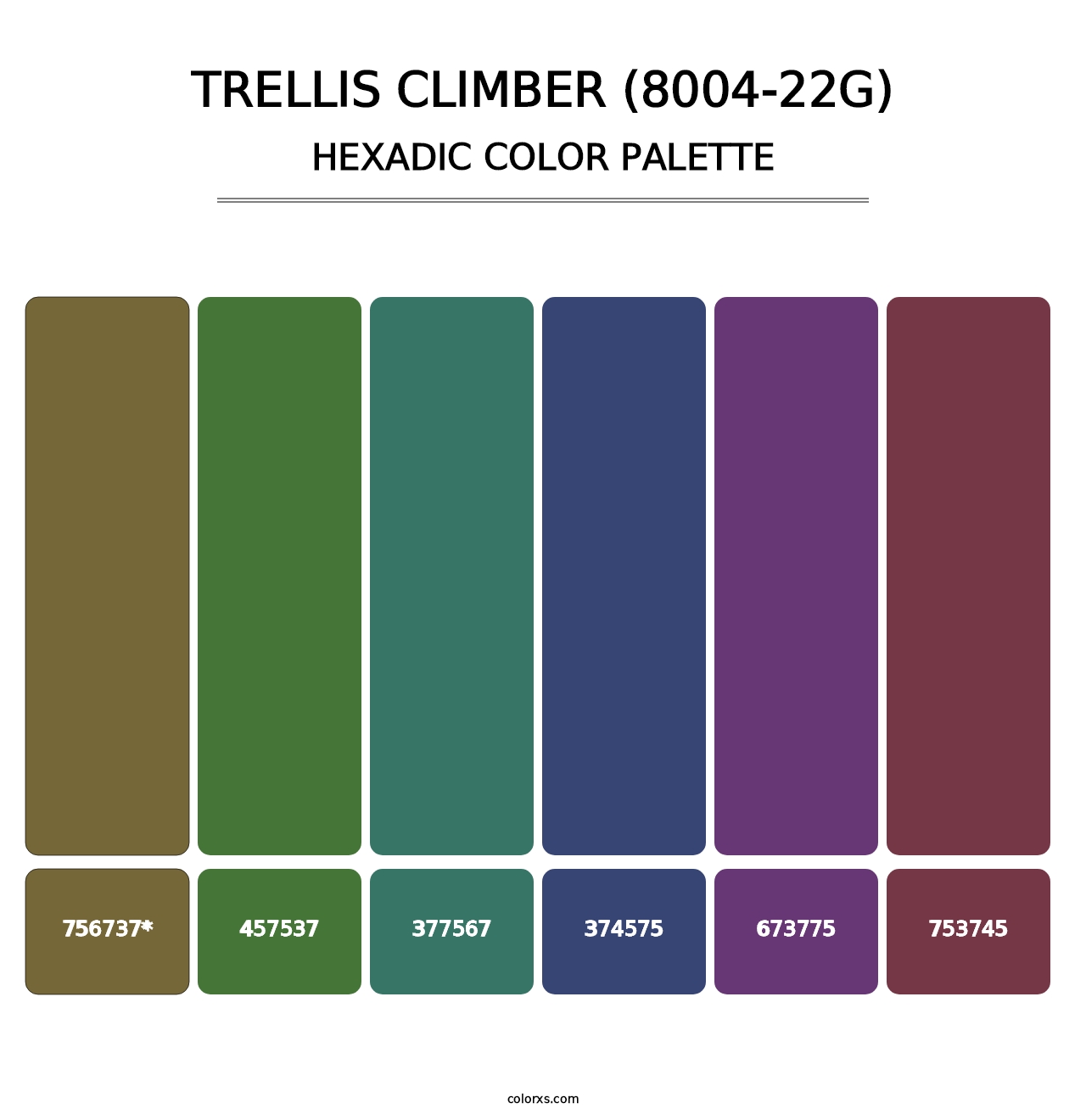 Trellis Climber (8004-22G) - Hexadic Color Palette