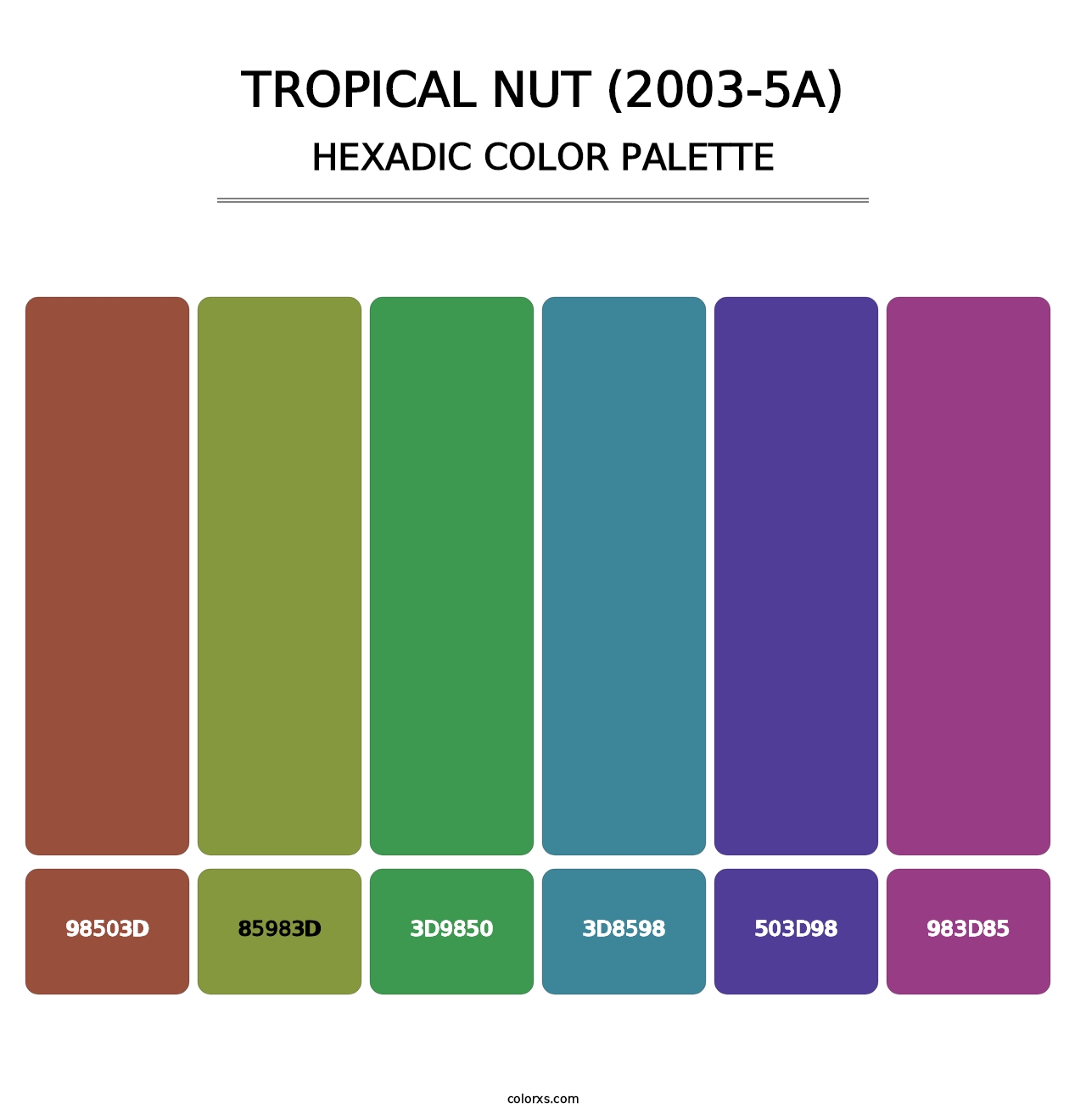 Tropical Nut (2003-5A) - Hexadic Color Palette