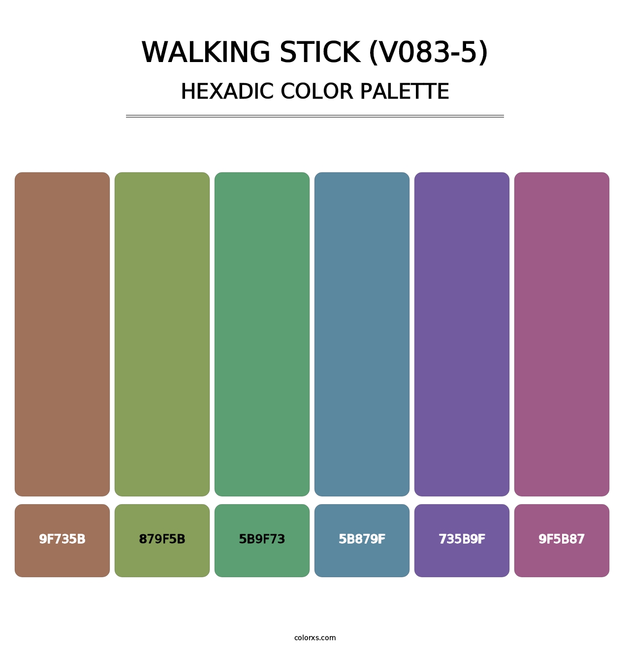 Walking Stick (V083-5) - Hexadic Color Palette