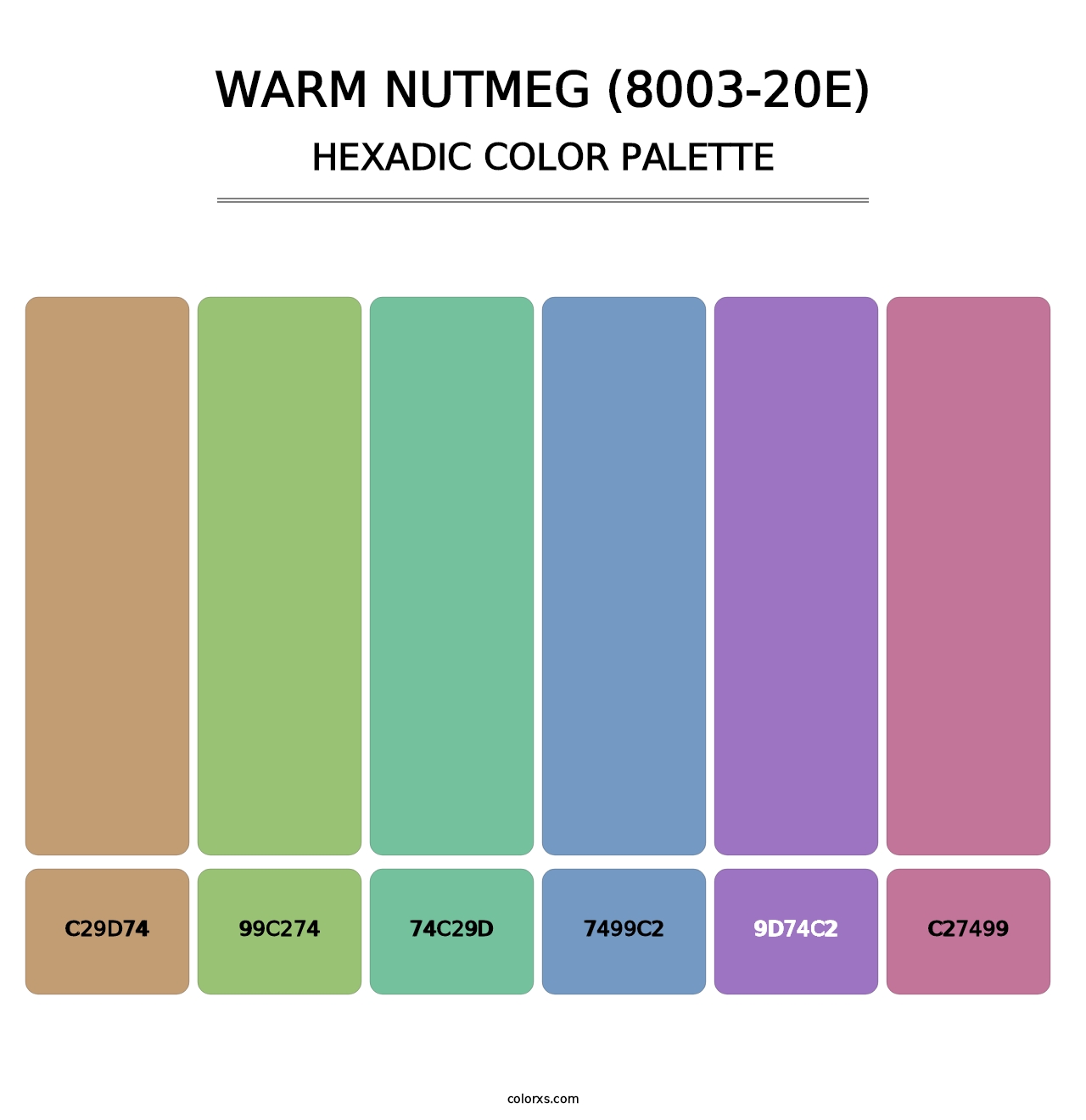Warm Nutmeg (8003-20E) - Hexadic Color Palette