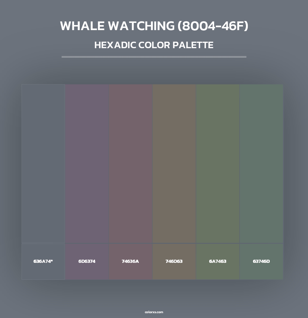 Whale Watching (8004-46F) - Hexadic Color Palette