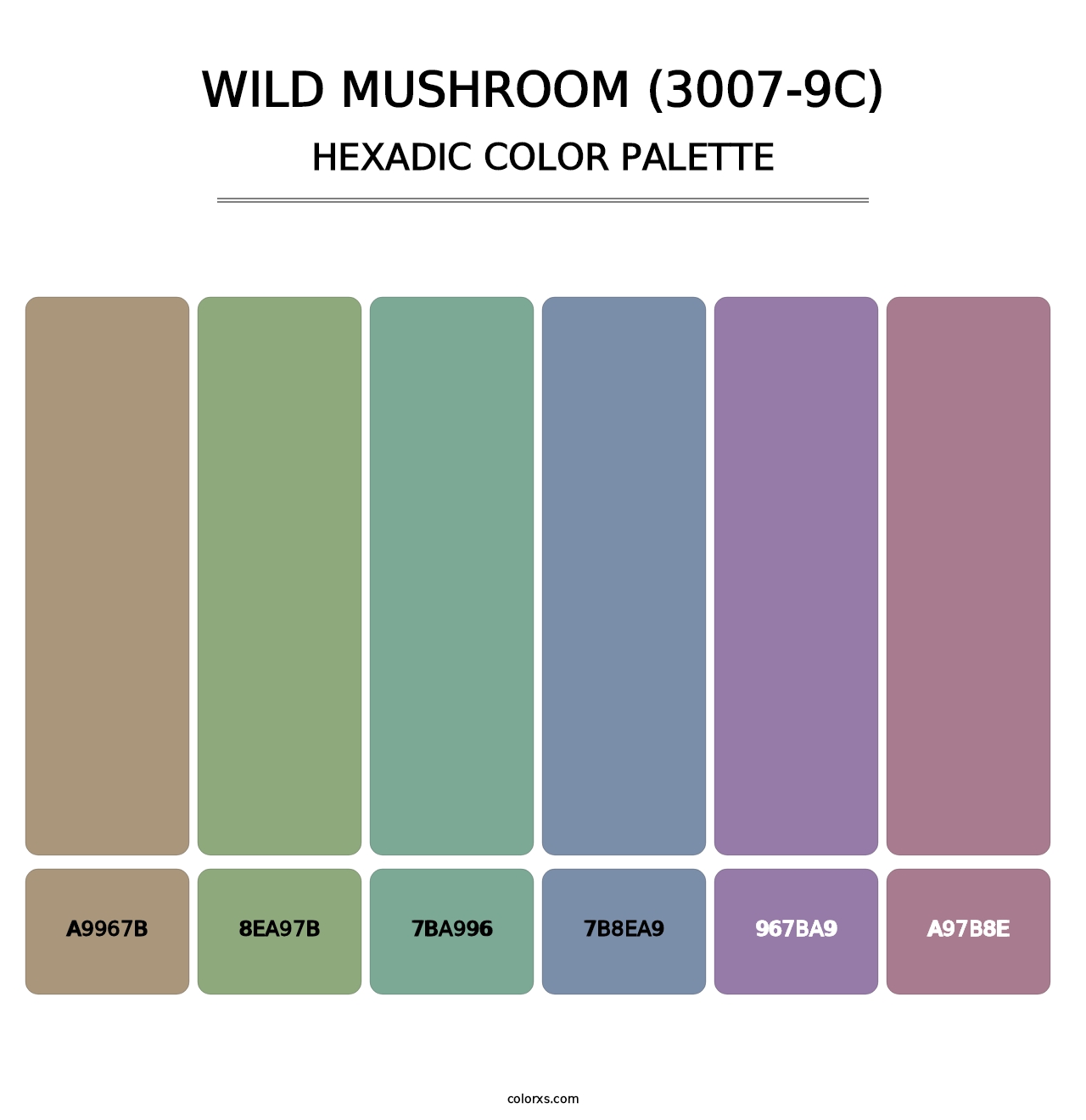 Wild Mushroom (3007-9C) - Hexadic Color Palette