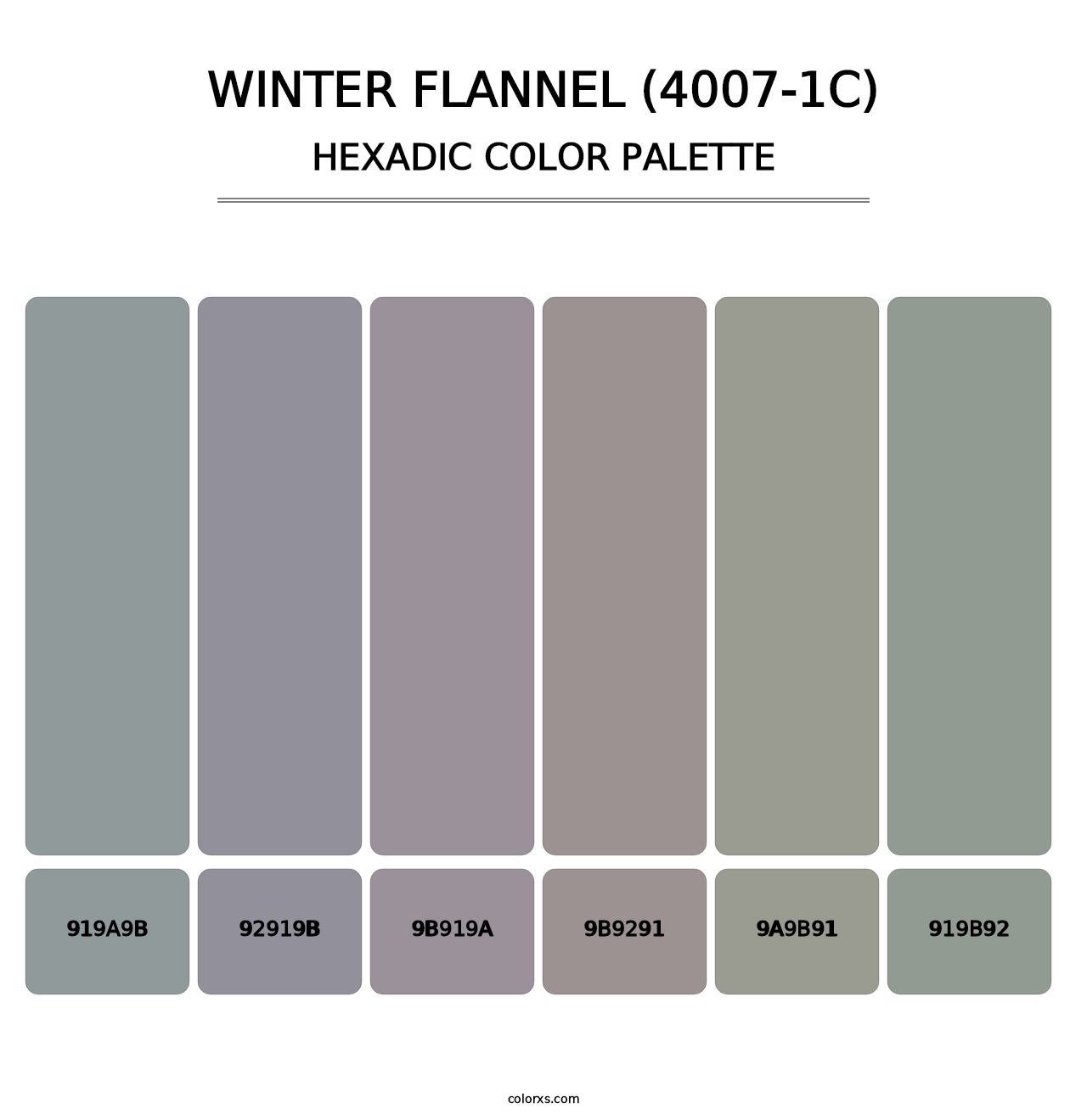 Winter Flannel (4007-1C) - Hexadic Color Palette