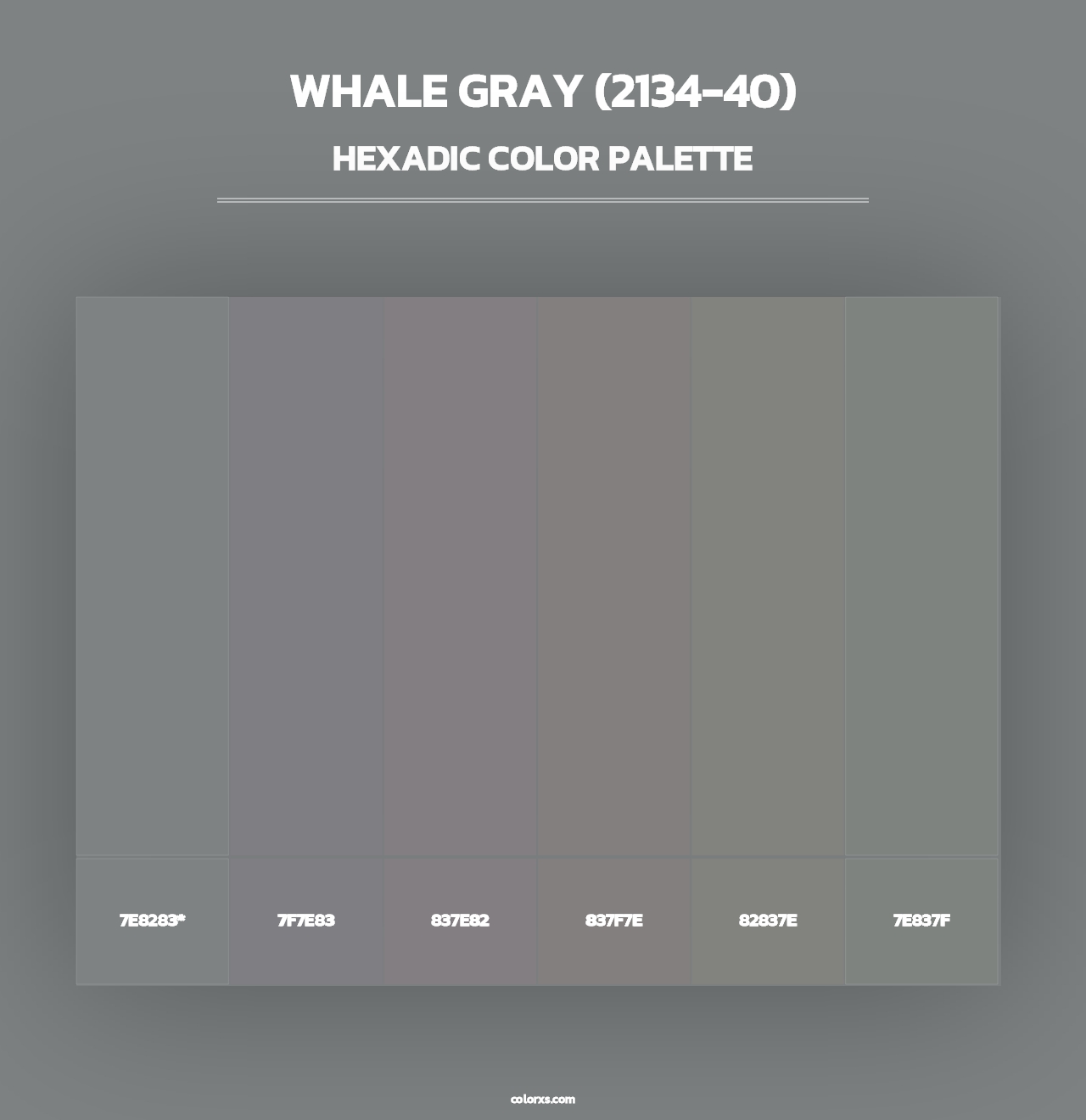 Whale Gray (2134-40) - Hexadic Color Palette