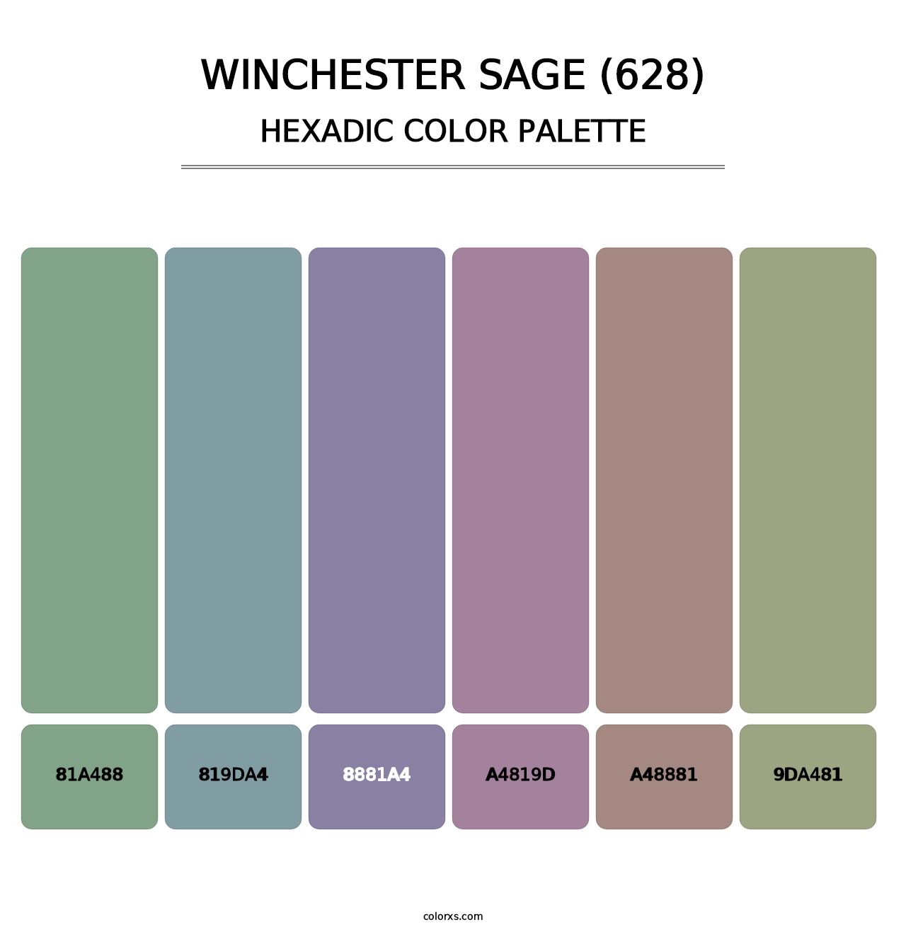 Winchester Sage (628) - Hexadic Color Palette