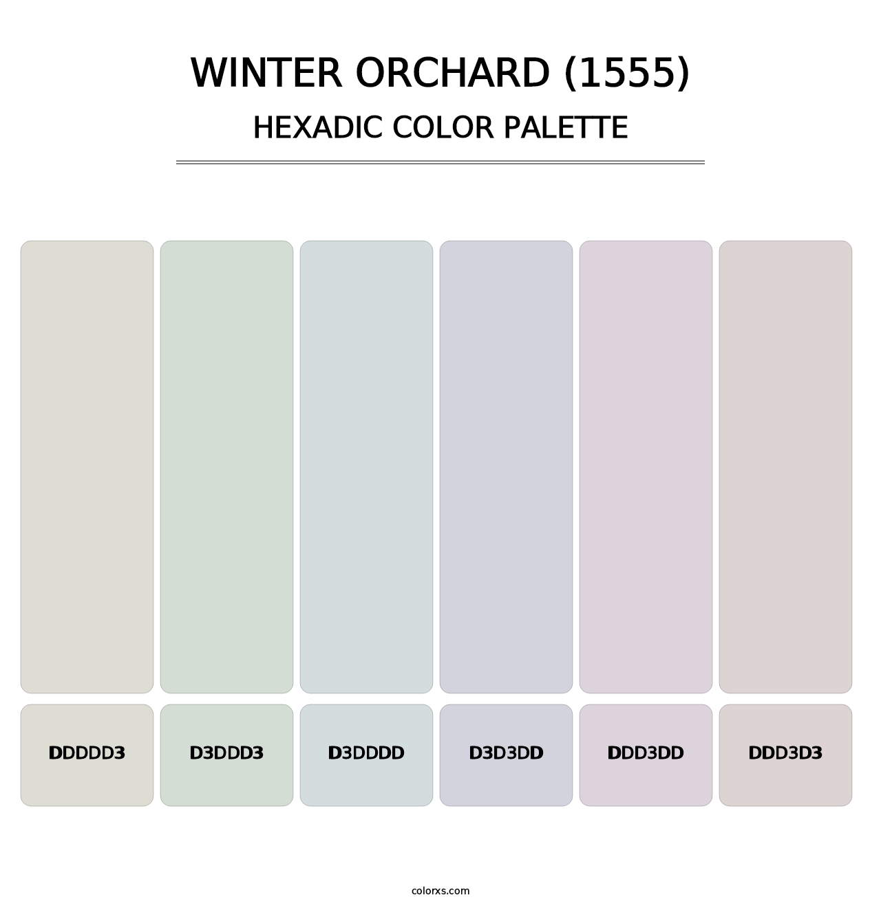 Winter Orchard (1555) - Hexadic Color Palette