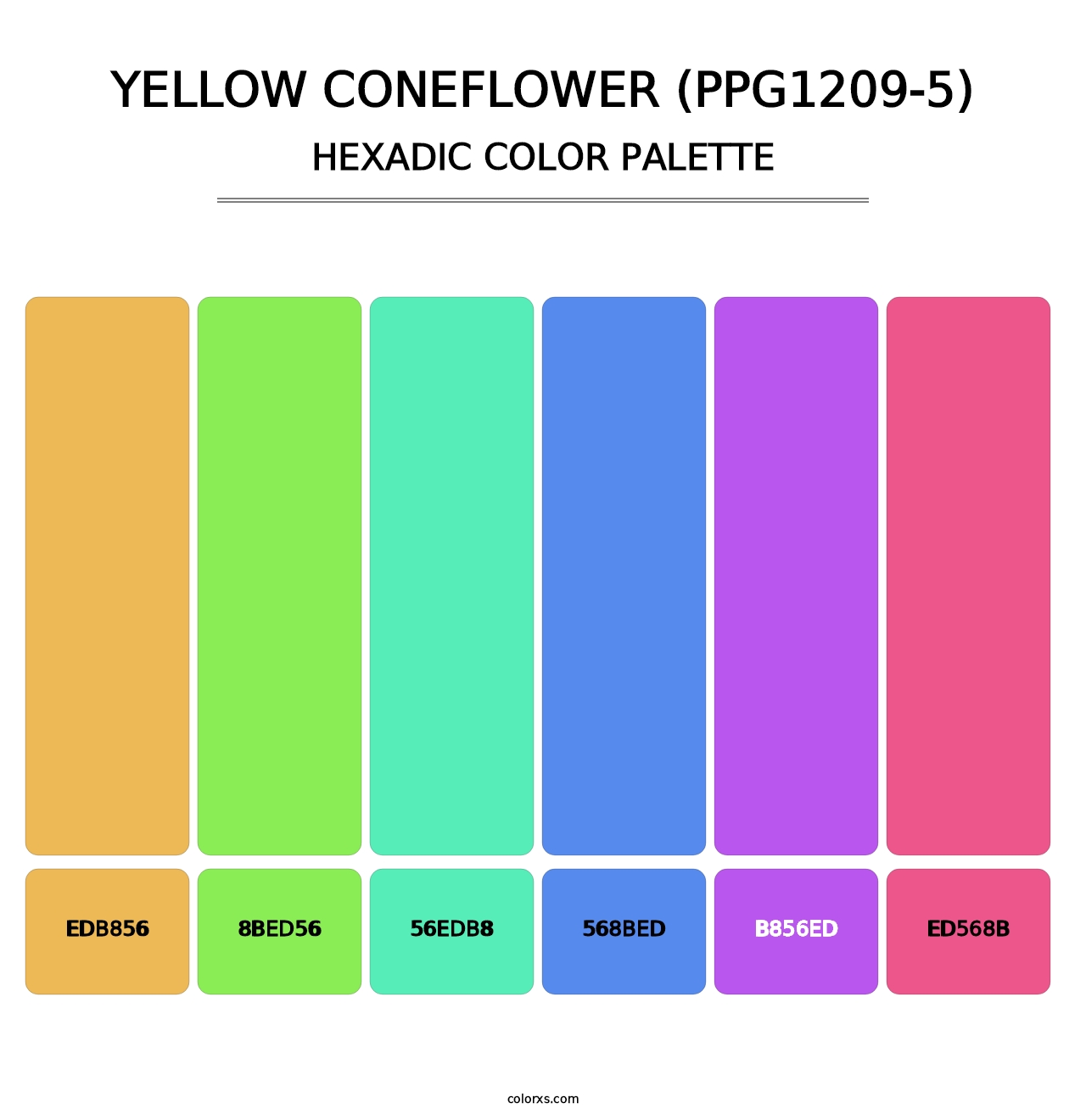 Yellow Coneflower (PPG1209-5) - Hexadic Color Palette