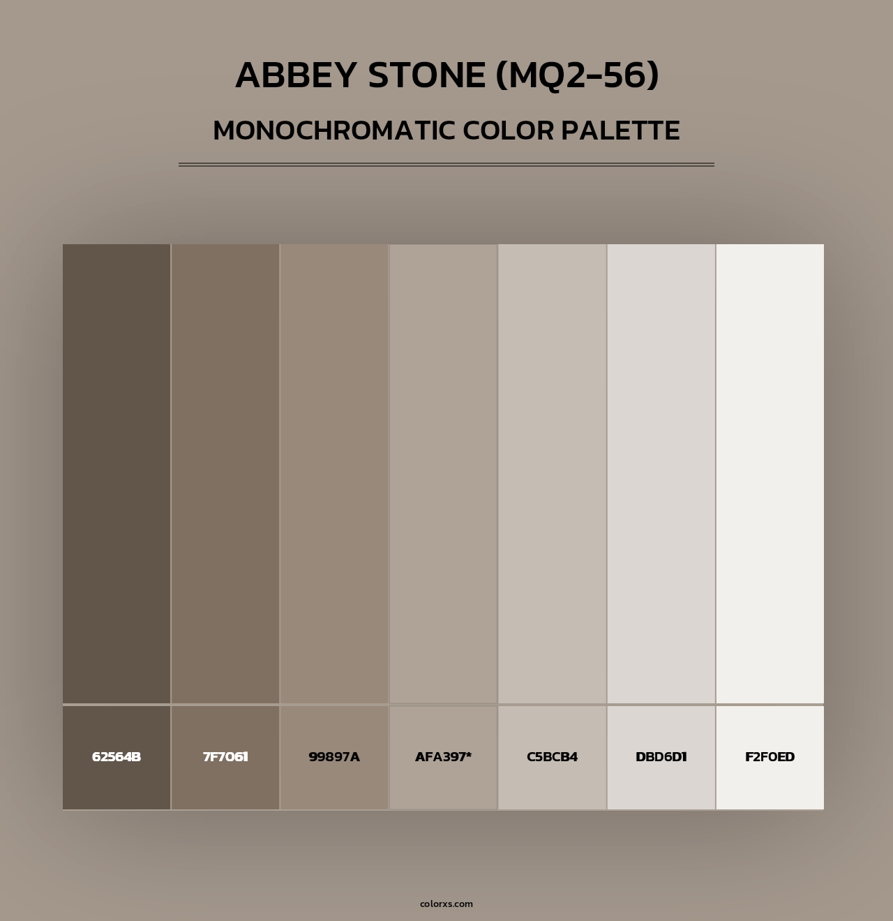Abbey Stone (MQ2-56) - Monochromatic Color Palette