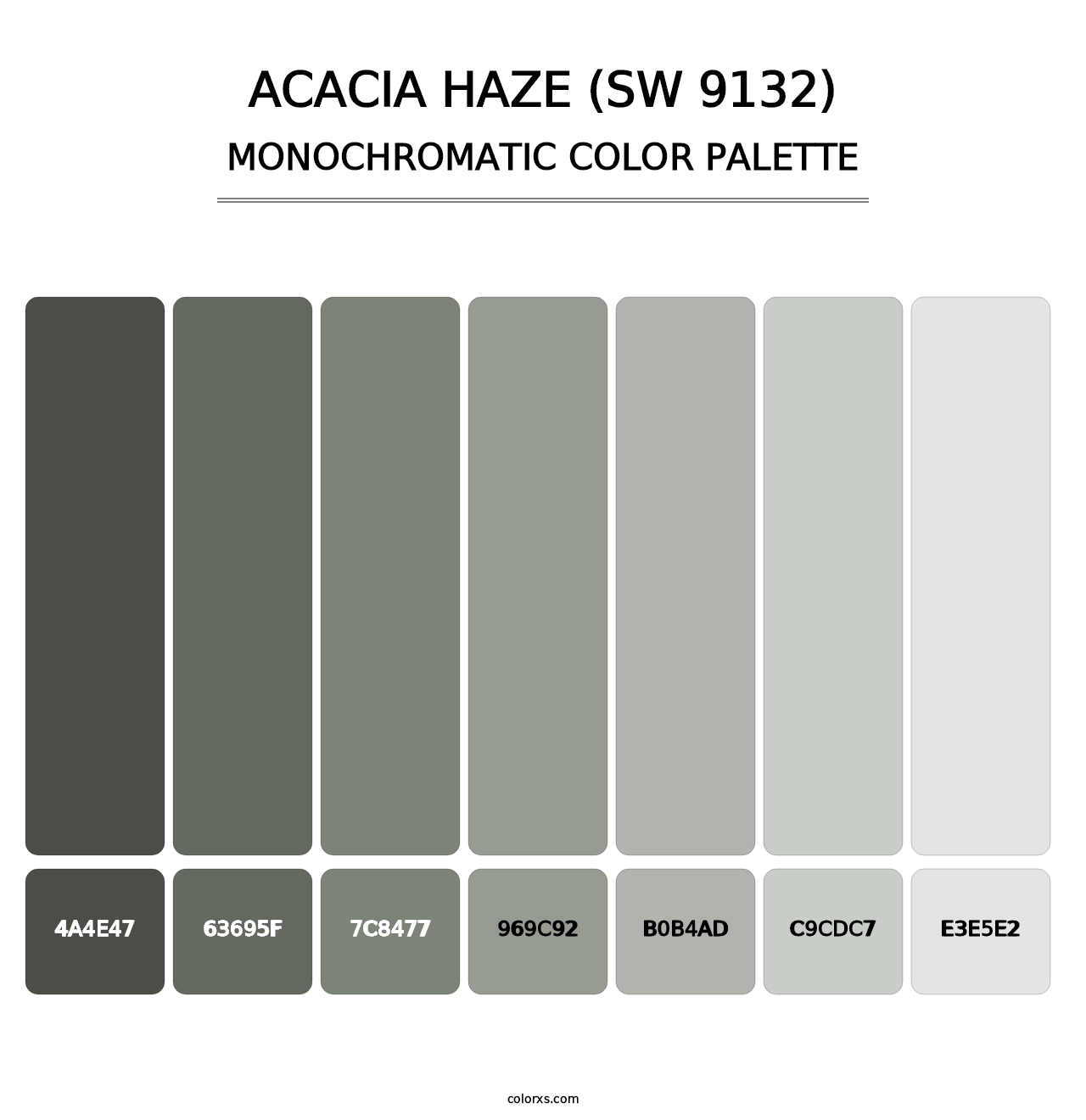 Acacia Haze (SW 9132) - Monochromatic Color Palette
