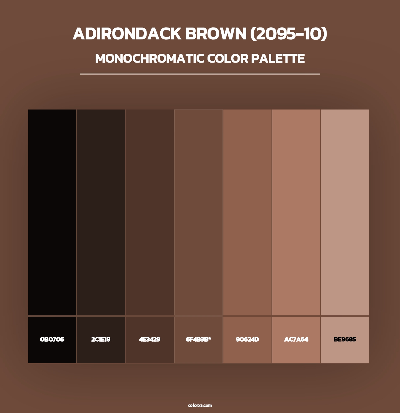 Adirondack Brown (2095-10) - Monochromatic Color Palette