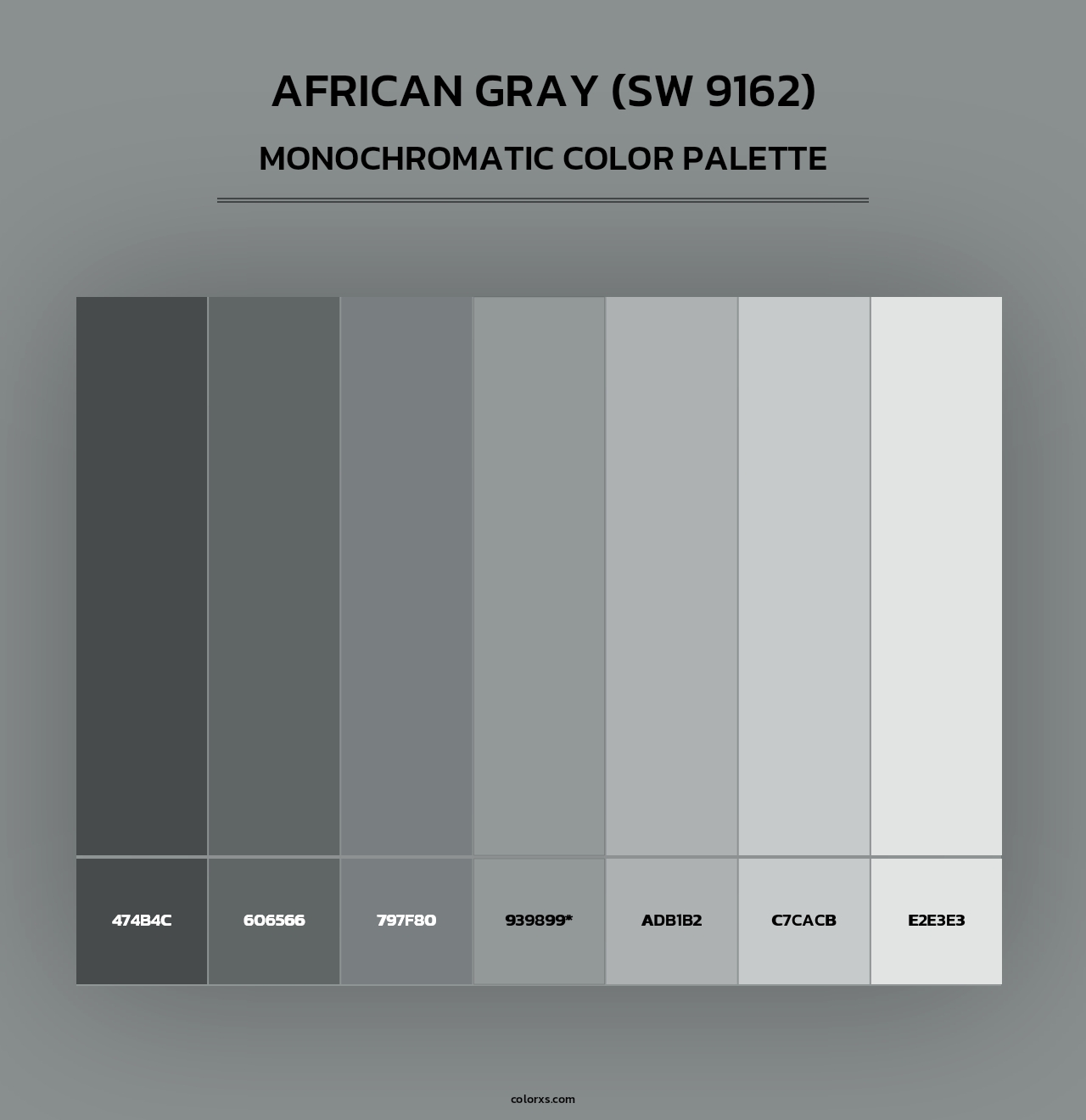 African Gray (SW 9162) - Monochromatic Color Palette