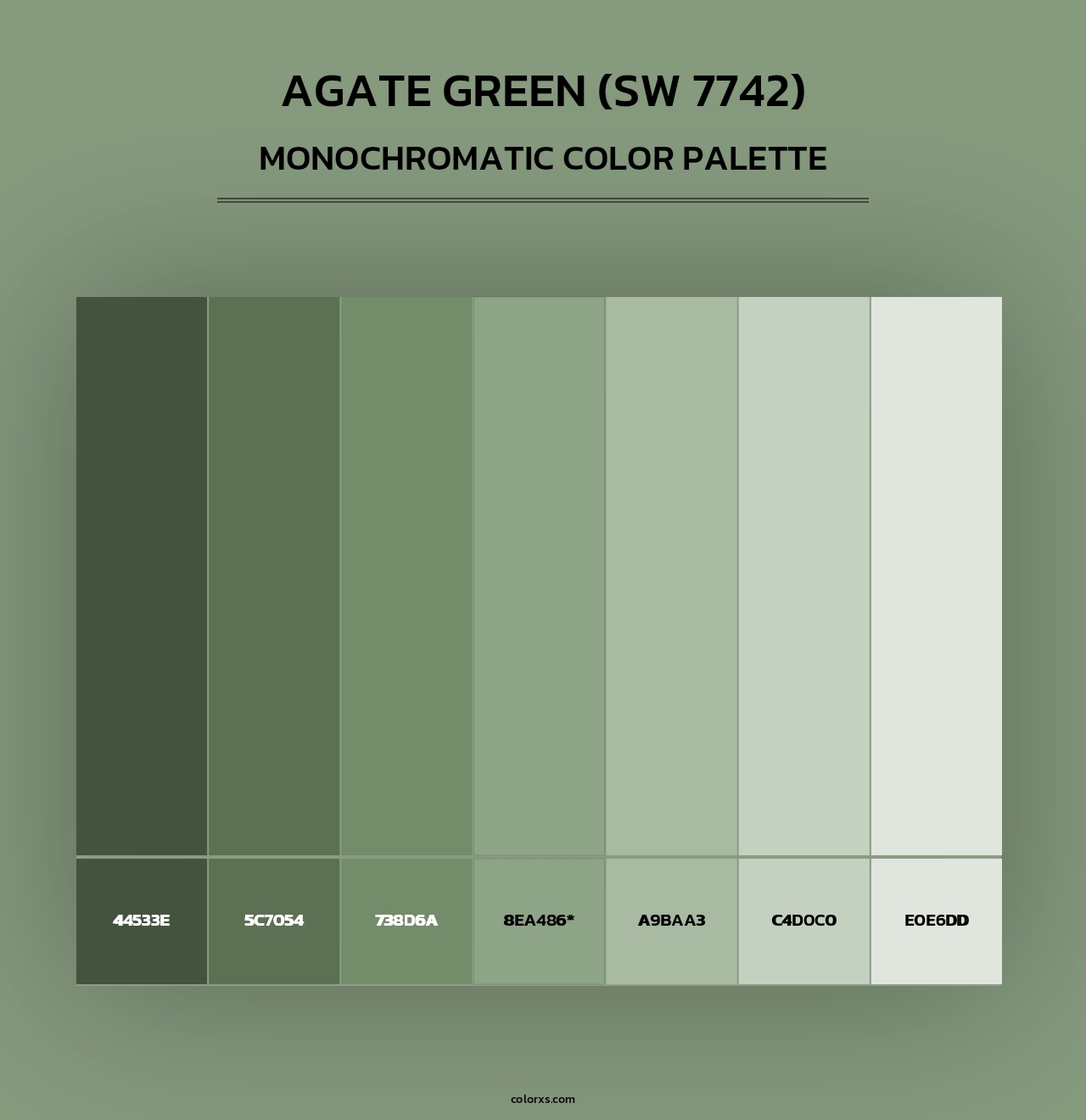 Agate Green (SW 7742) - Monochromatic Color Palette
