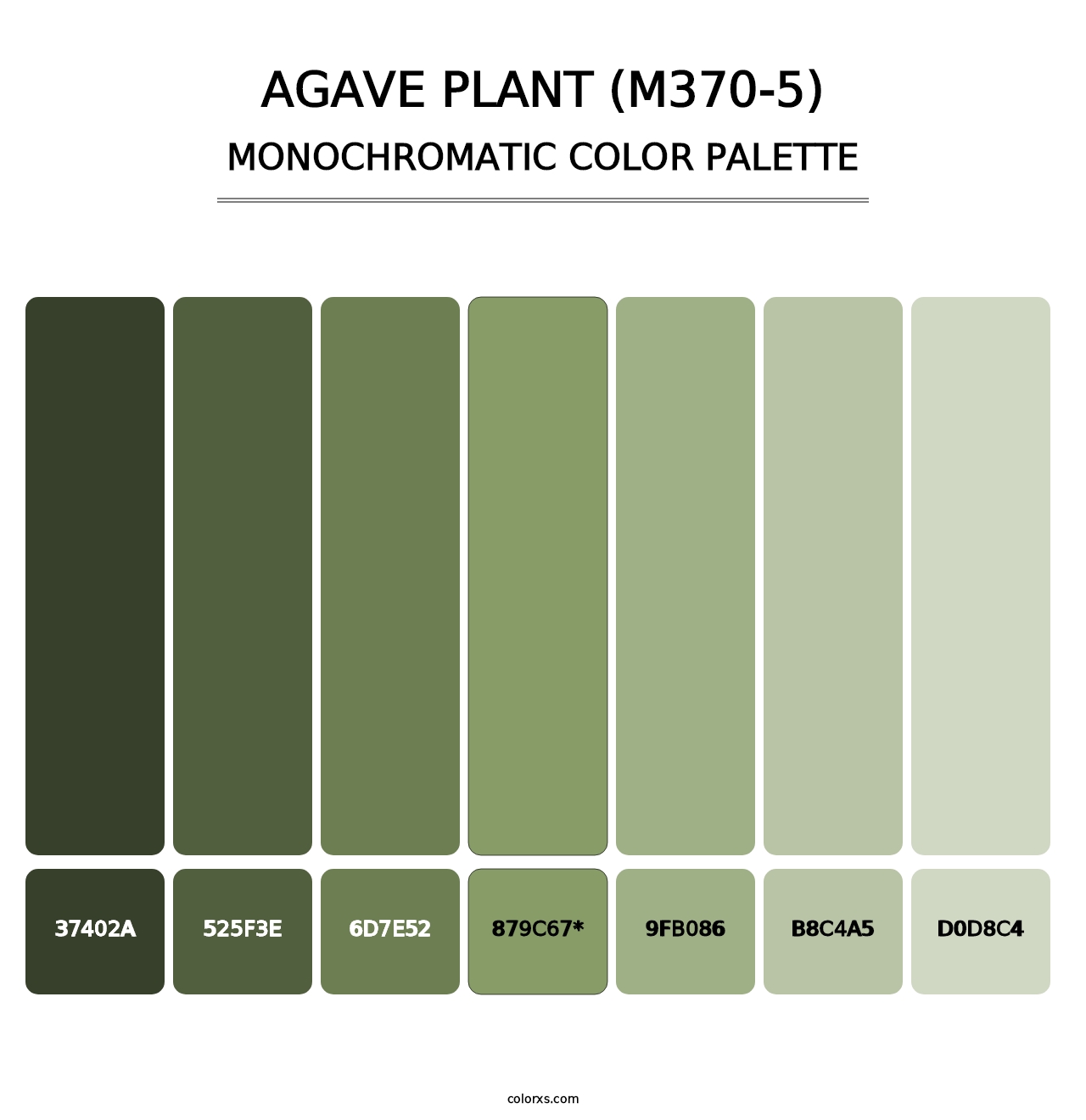 Agave Plant (M370-5) - Monochromatic Color Palette