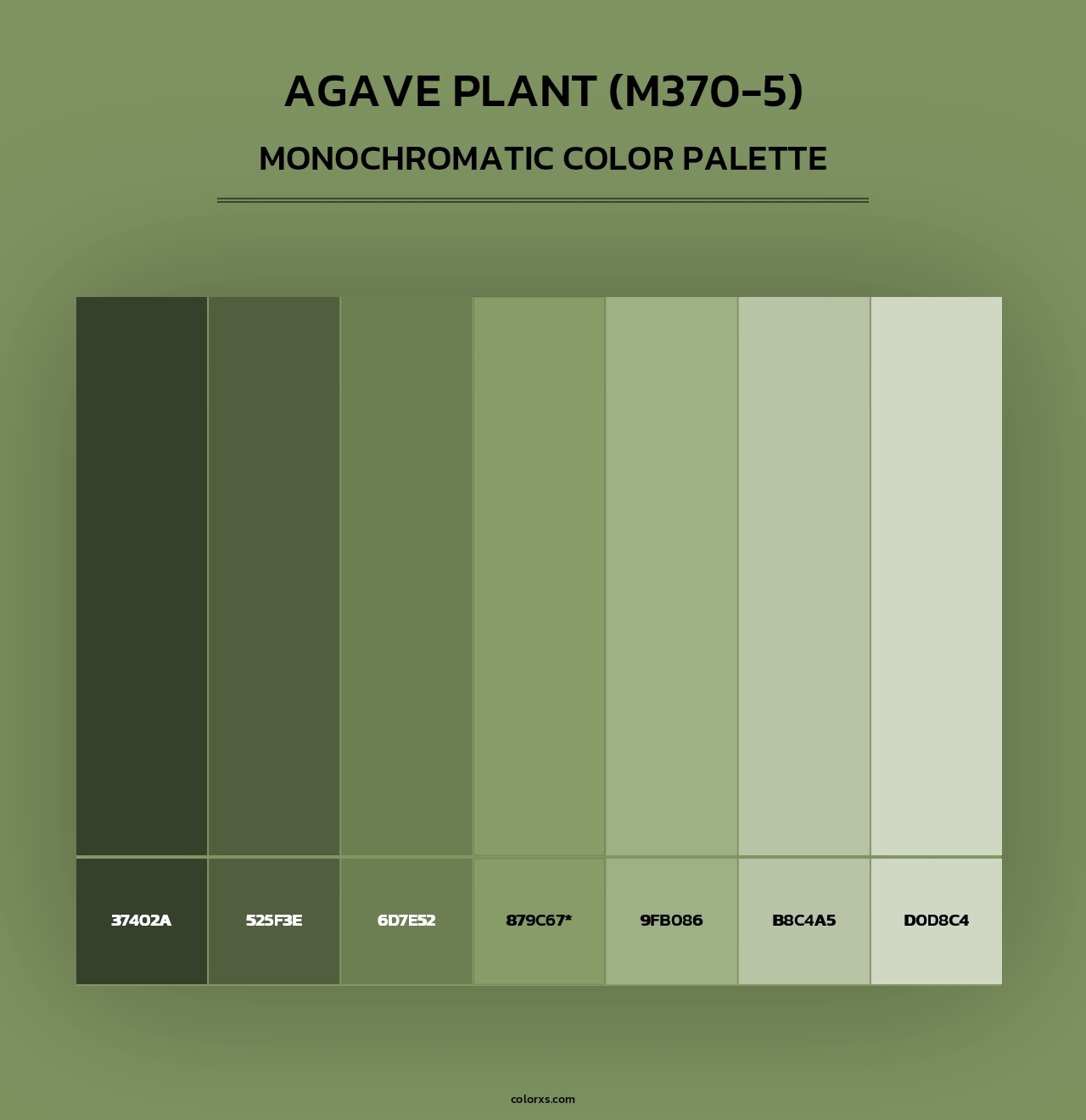 Agave Plant (M370-5) - Monochromatic Color Palette