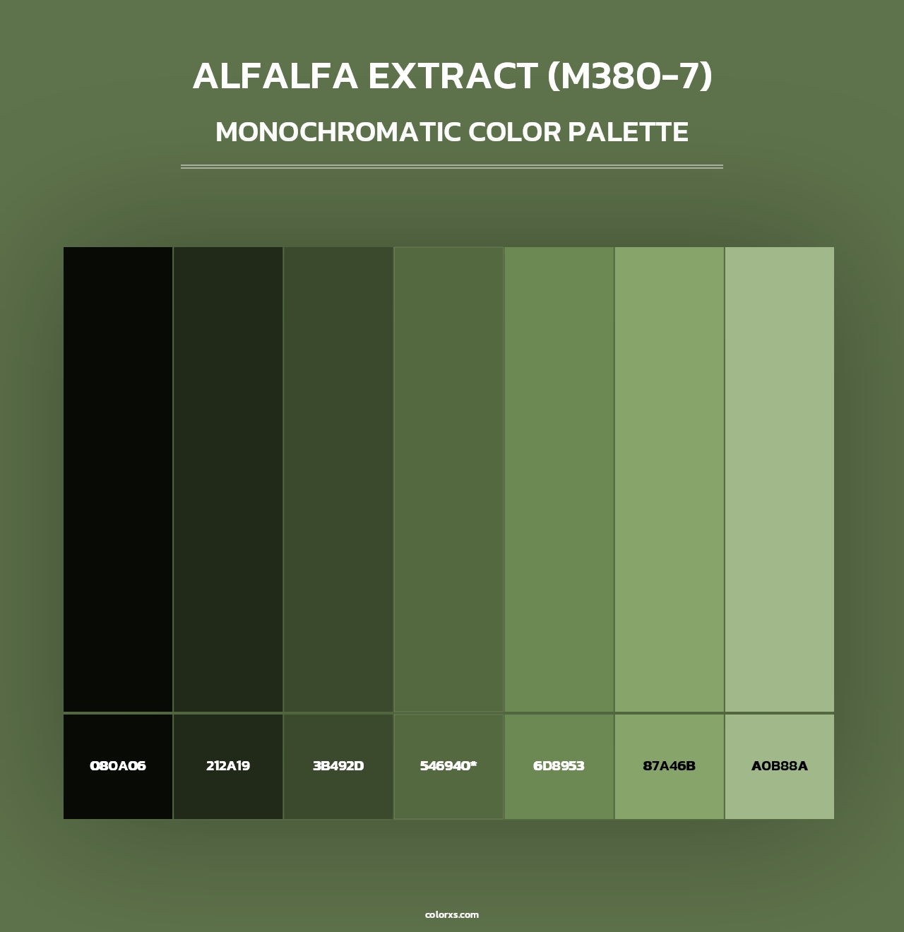 Alfalfa Extract (M380-7) - Monochromatic Color Palette
