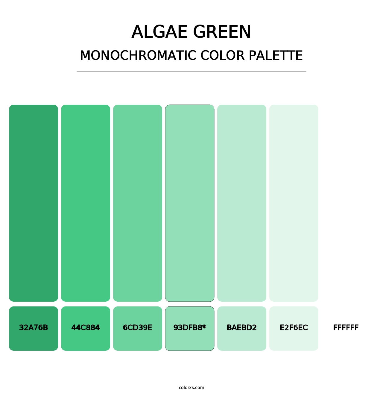 Algae Green - Monochromatic Color Palette