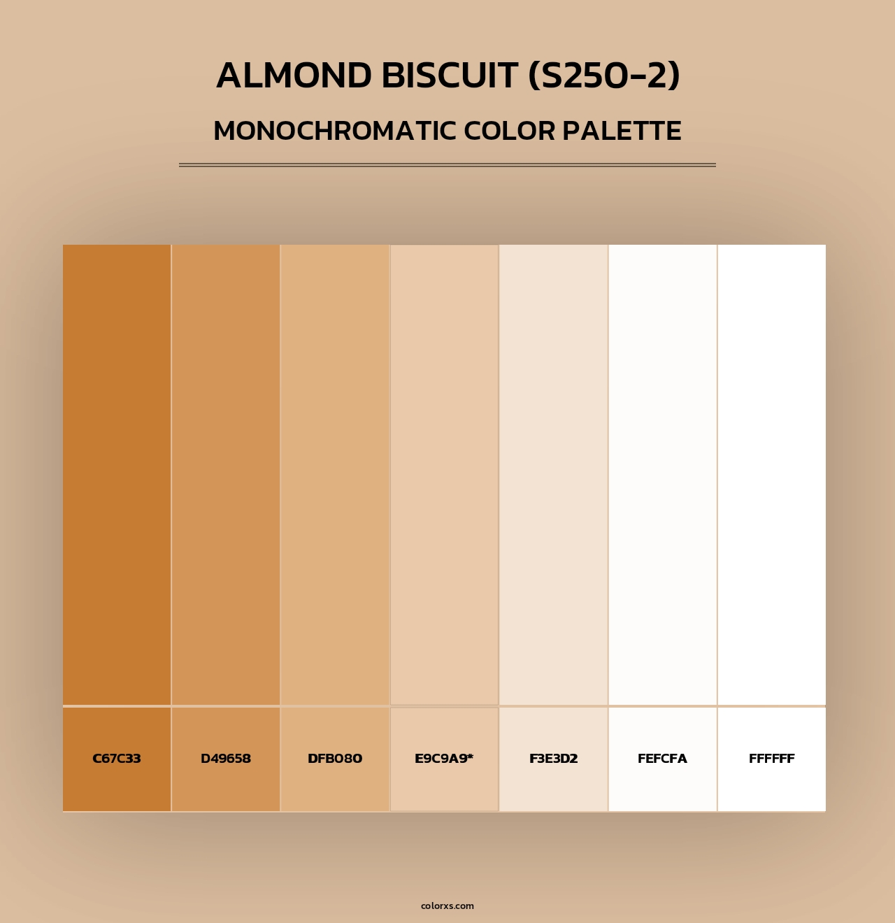 Almond Biscuit (S250-2) - Monochromatic Color Palette