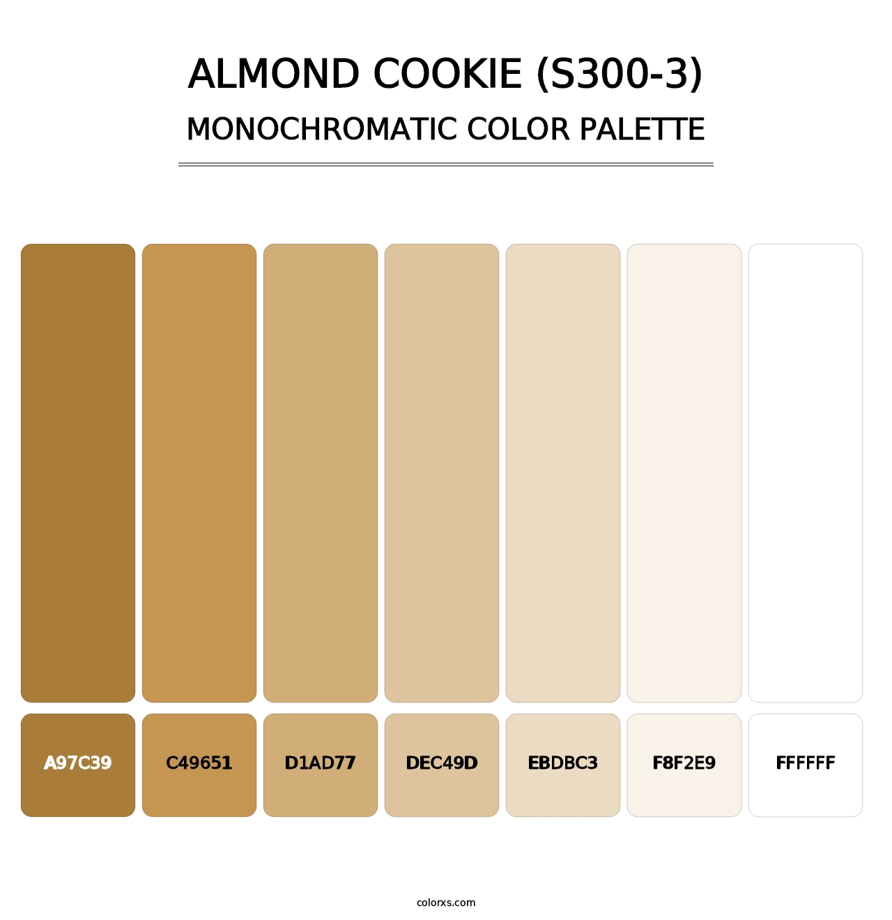 Almond Cookie (S300-3) - Monochromatic Color Palette