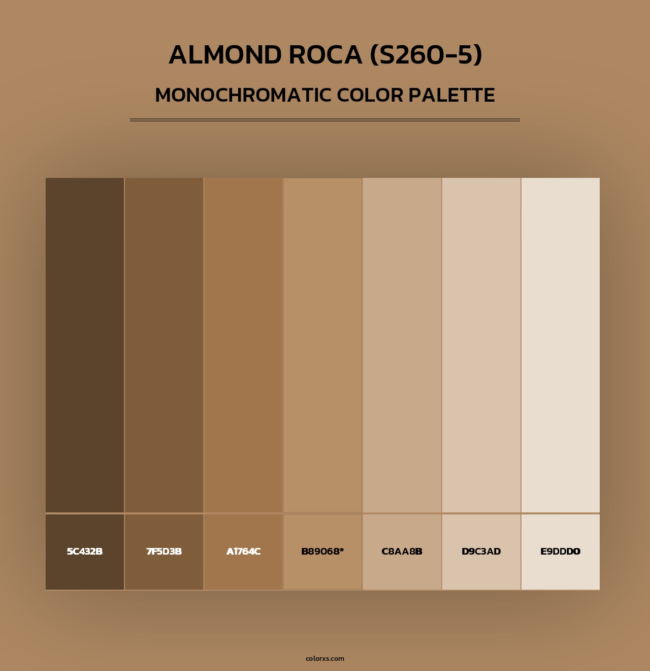 Almond Roca (S260-5) - Monochromatic Color Palette