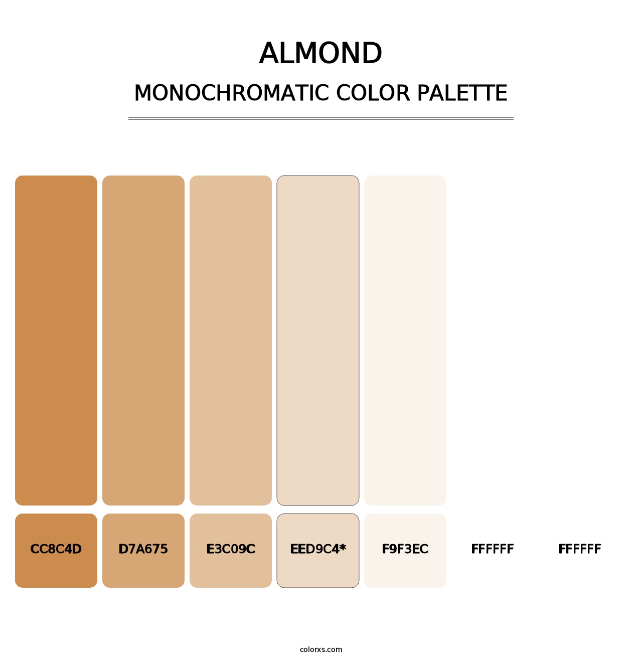 Almond - Monochromatic Color Palette
