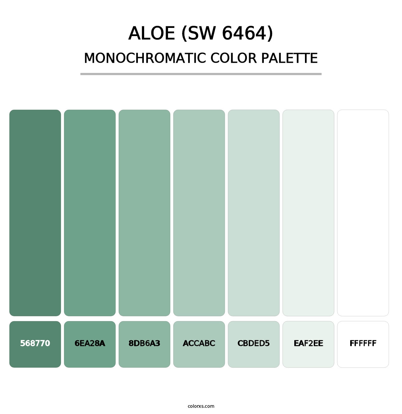Aloe (SW 6464) - Monochromatic Color Palette