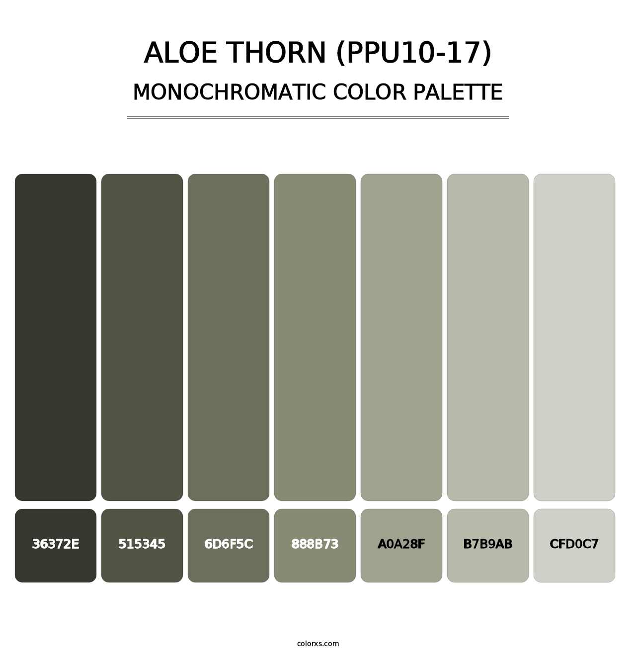 Aloe Thorn (PPU10-17) - Monochromatic Color Palette