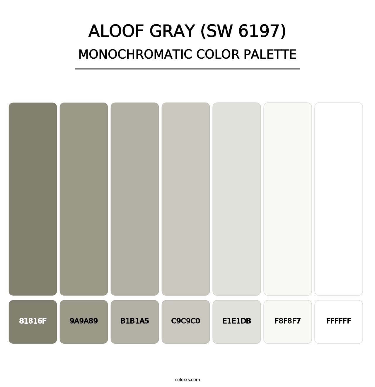 Aloof Gray (SW 6197) - Monochromatic Color Palette
