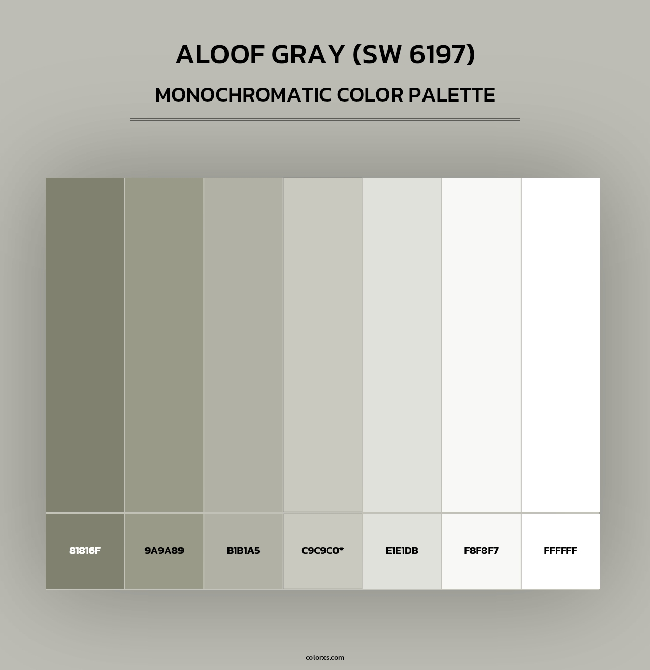Aloof Gray (SW 6197) - Monochromatic Color Palette
