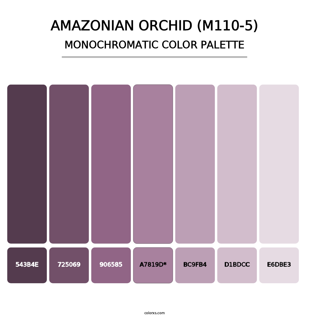 Amazonian Orchid (M110-5) - Monochromatic Color Palette