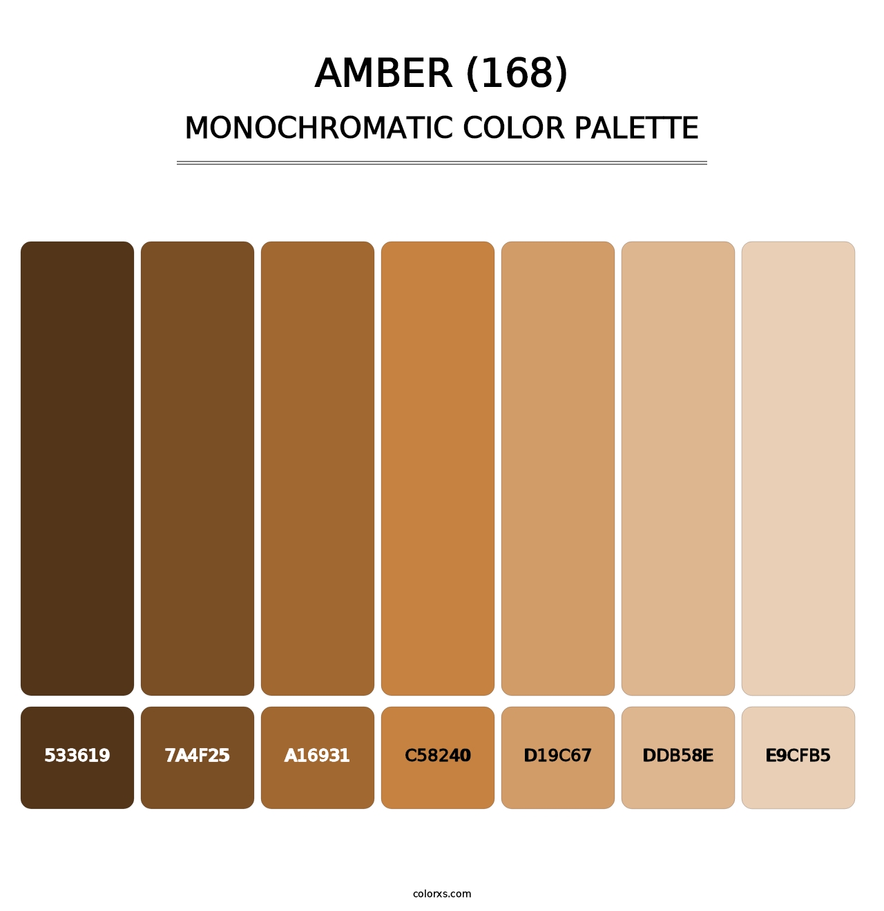 Amber (168) - Monochromatic Color Palette
