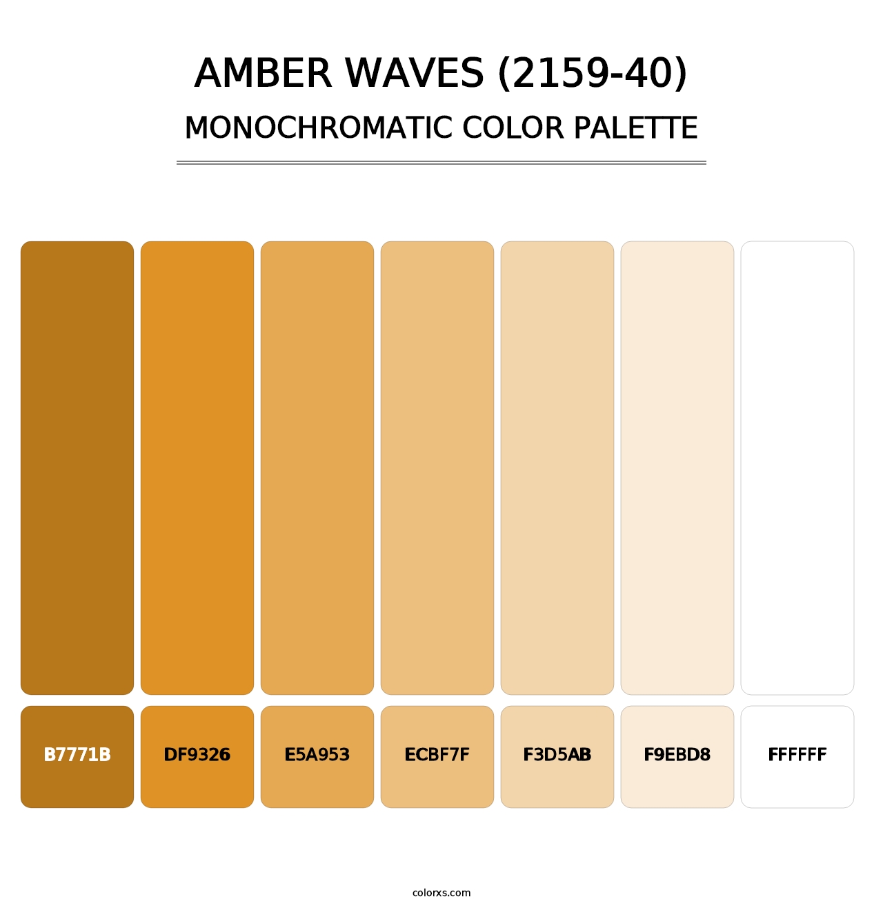 Amber Waves (2159-40) - Monochromatic Color Palette