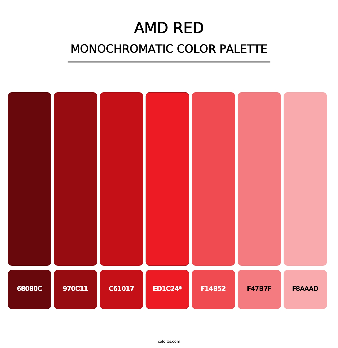 AMD Red - Monochromatic Color Palette