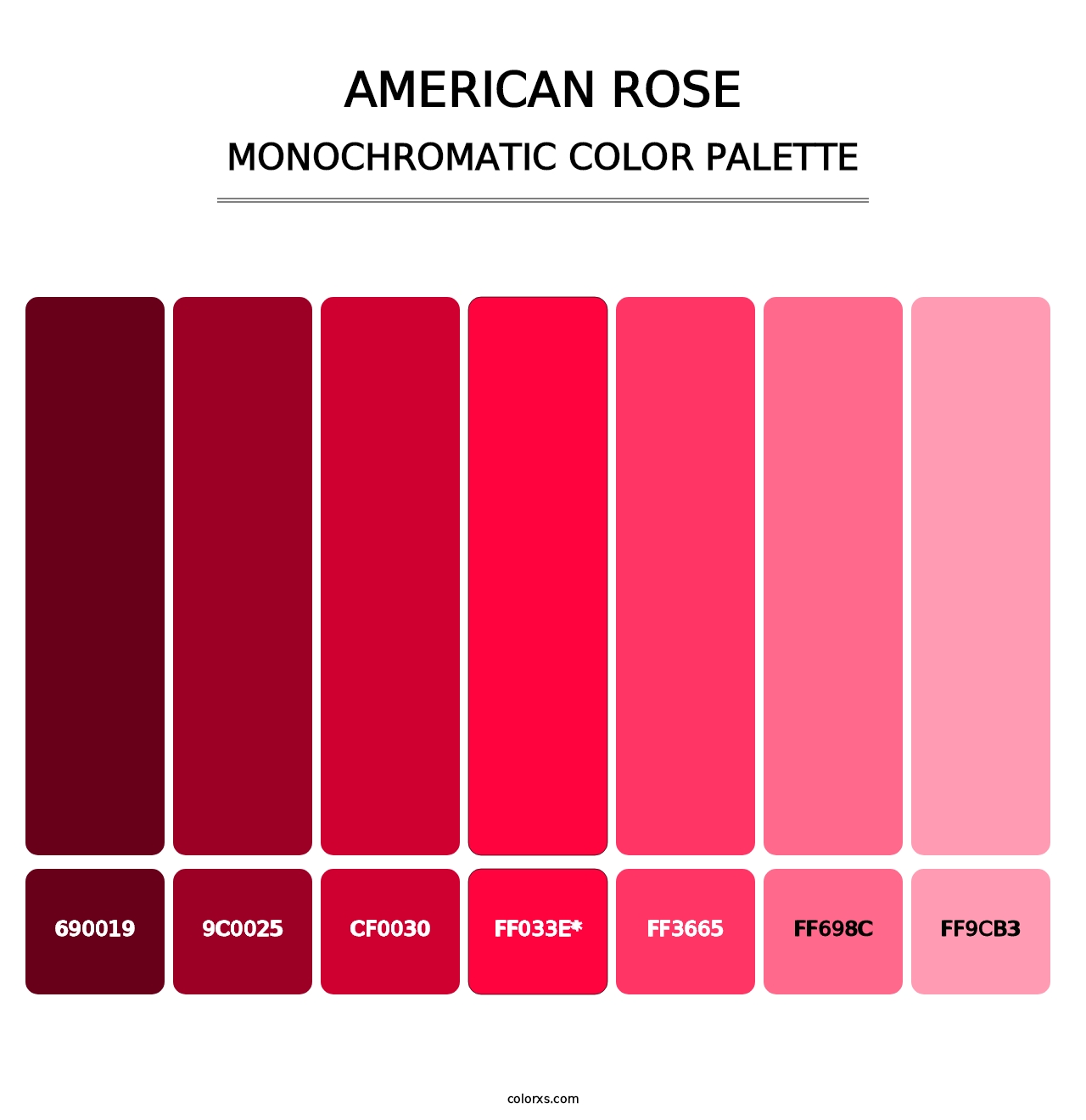 American Rose - Monochromatic Color Palette