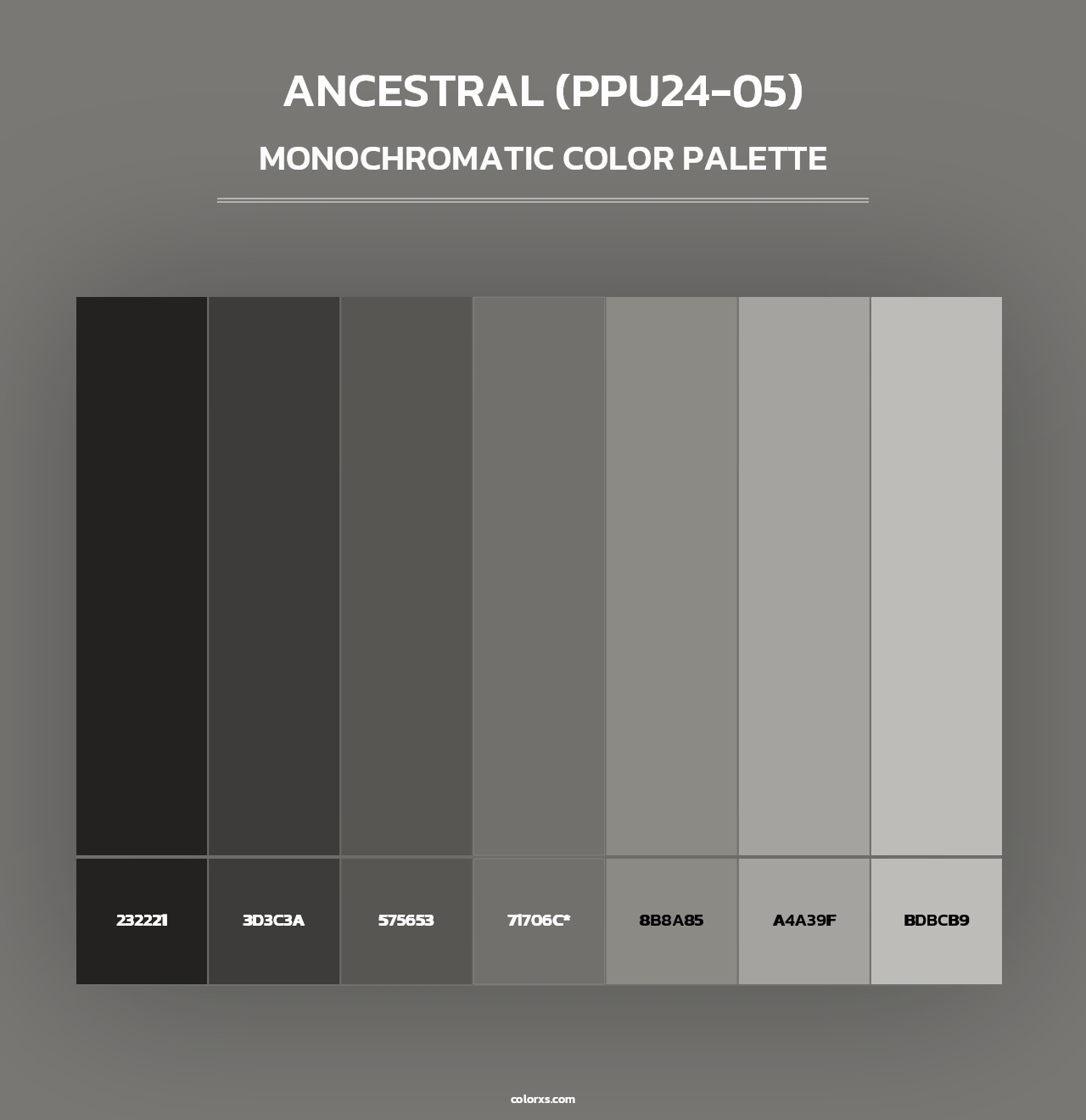 Ancestral (PPU24-05) - Monochromatic Color Palette