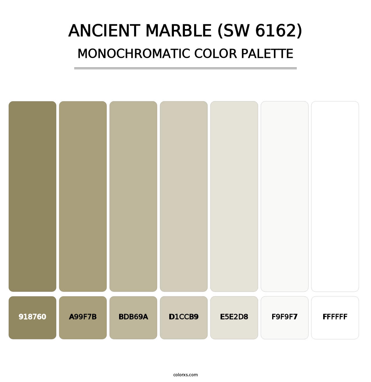 Ancient Marble (SW 6162) - Monochromatic Color Palette