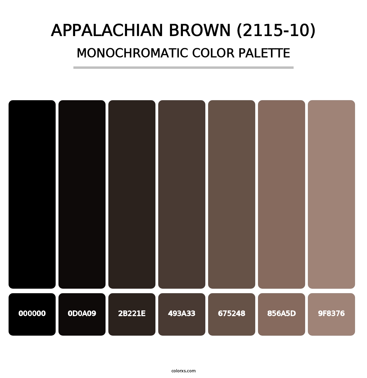 Appalachian Brown (2115-10) - Monochromatic Color Palette