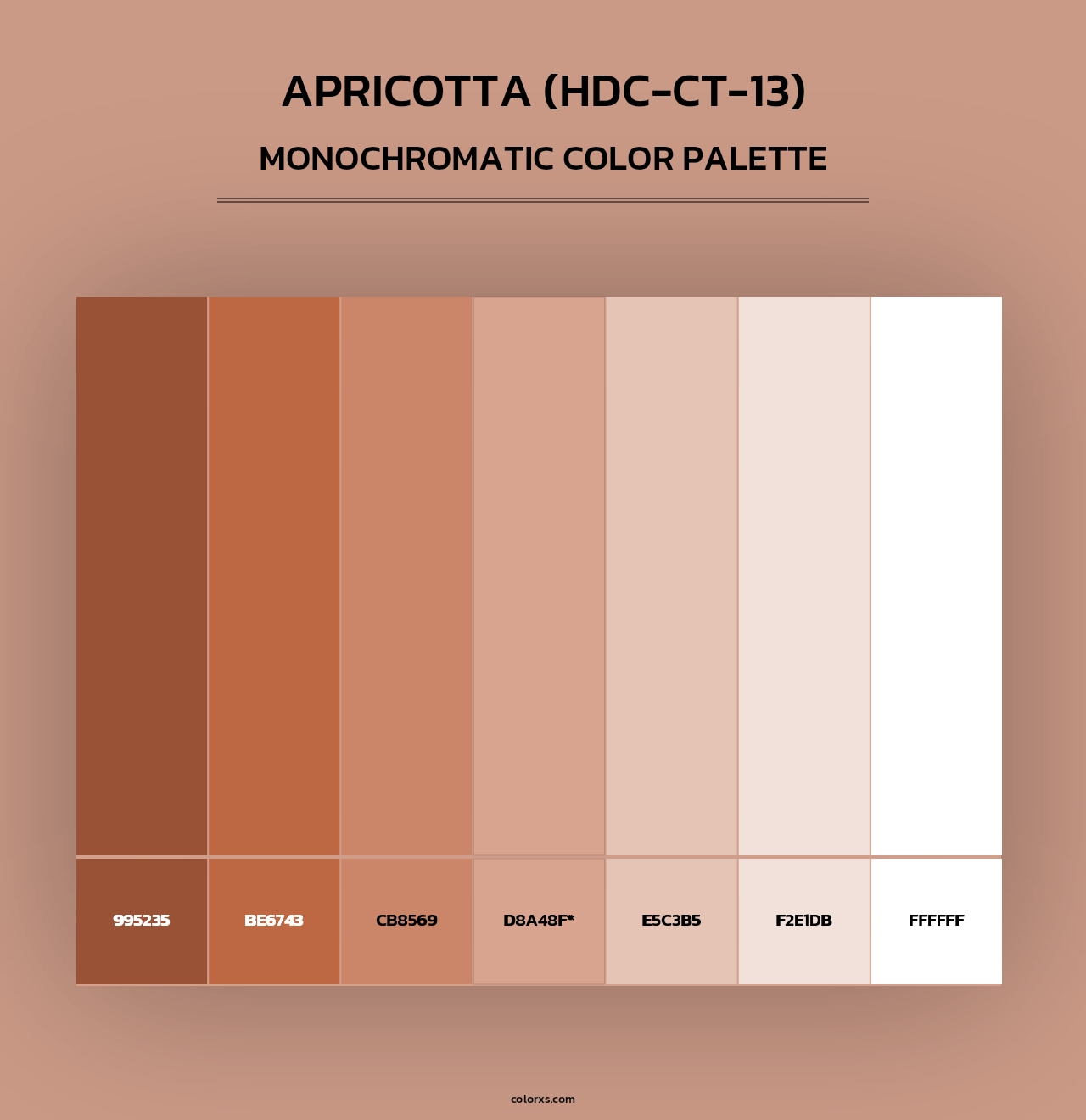 Apricotta (HDC-CT-13) - Monochromatic Color Palette