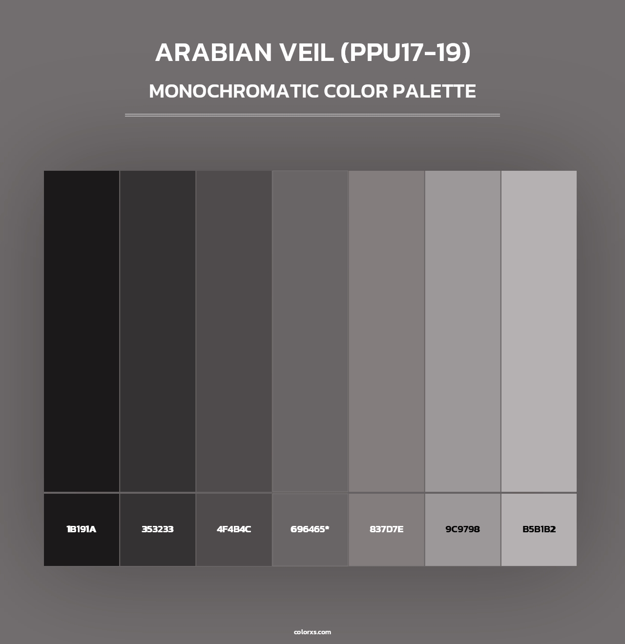 Arabian Veil (PPU17-19) - Monochromatic Color Palette
