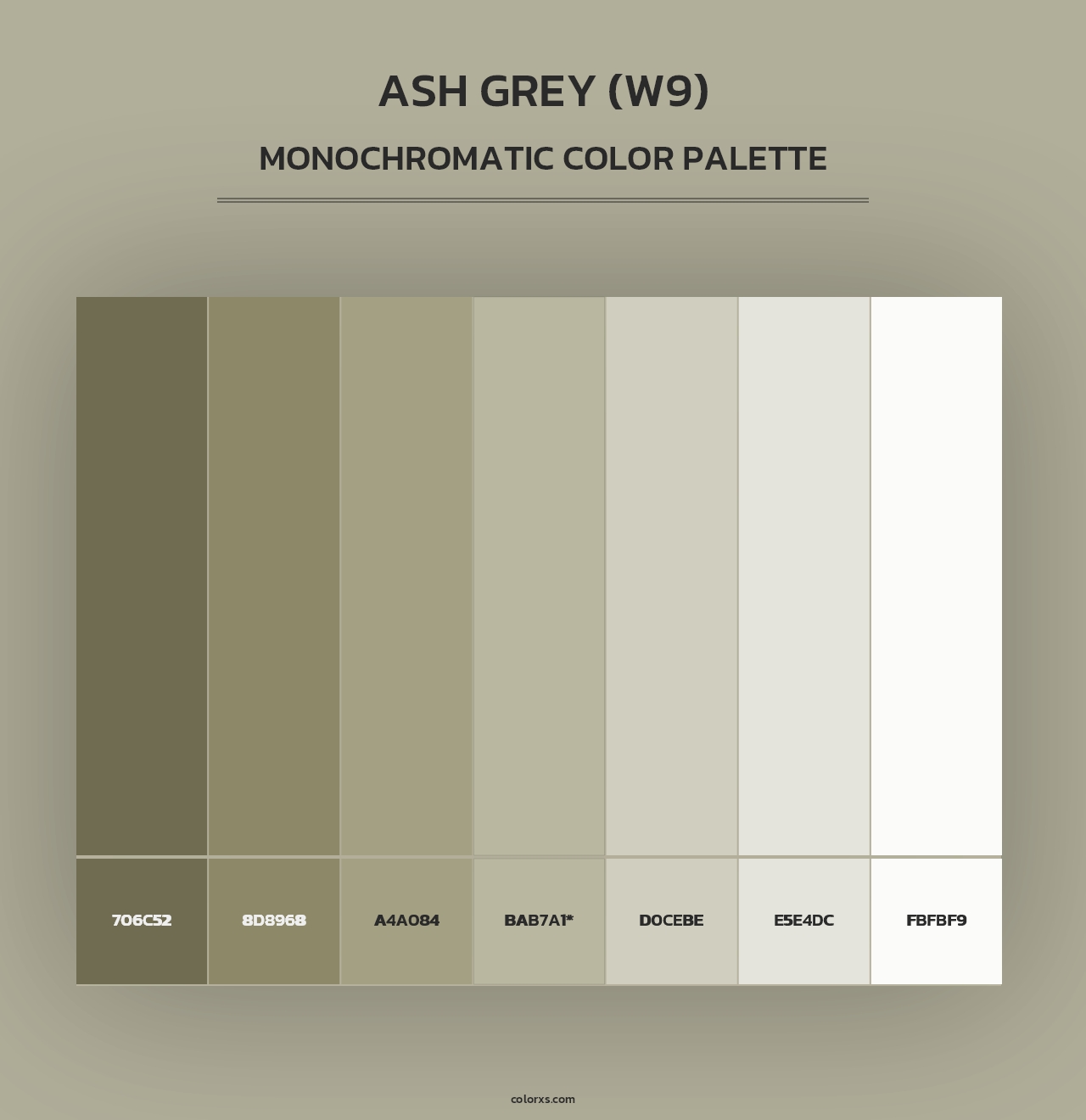 Ash Grey (W9) - Monochromatic Color Palette