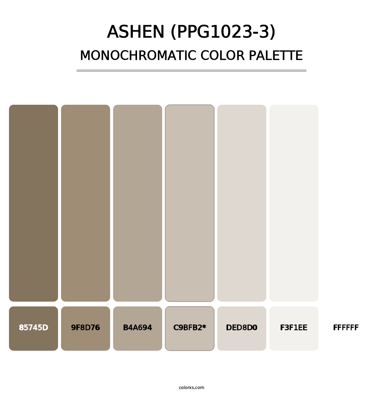 Ashen (PPG1023-3) - Monochromatic Color Palette