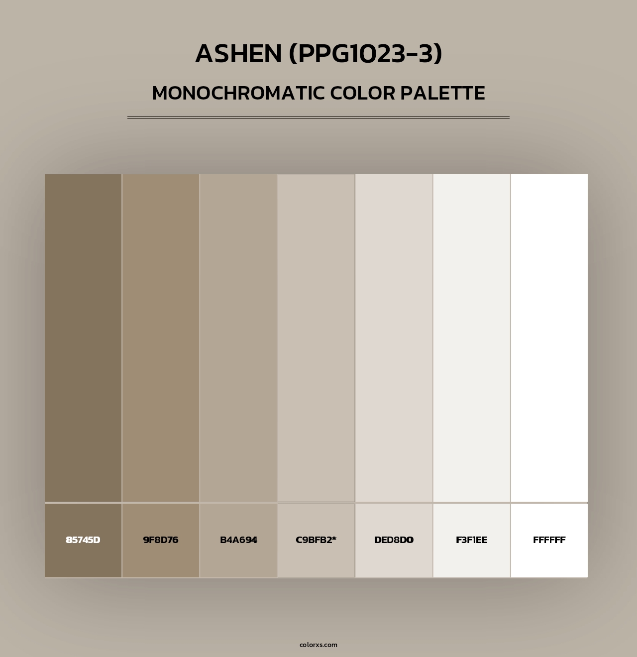 Ashen (PPG1023-3) - Monochromatic Color Palette