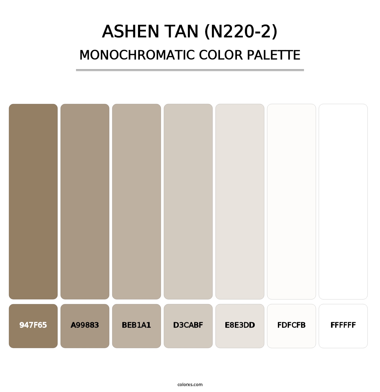 Ashen Tan (N220-2) - Monochromatic Color Palette
