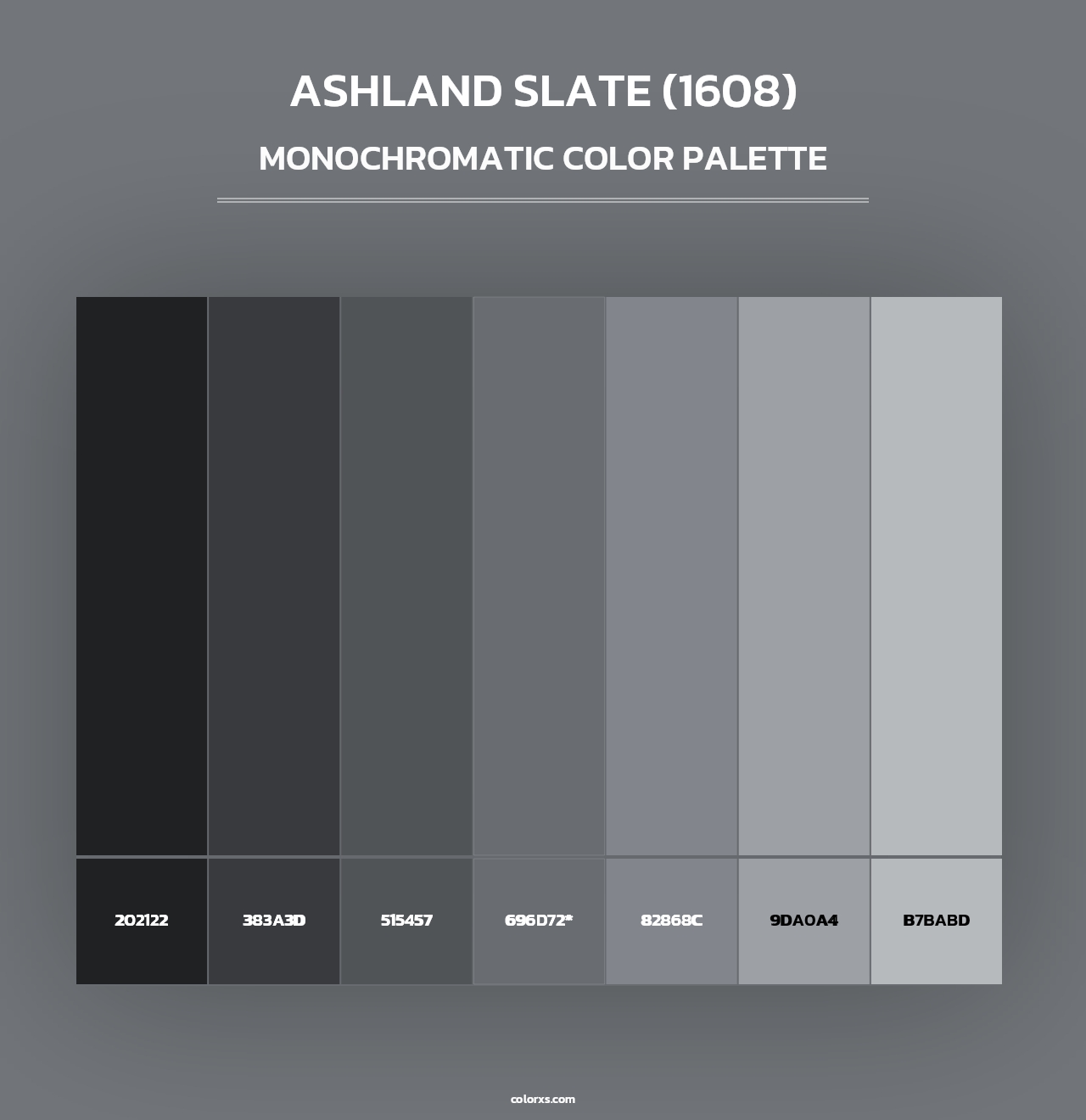 Ashland Slate (1608) - Monochromatic Color Palette