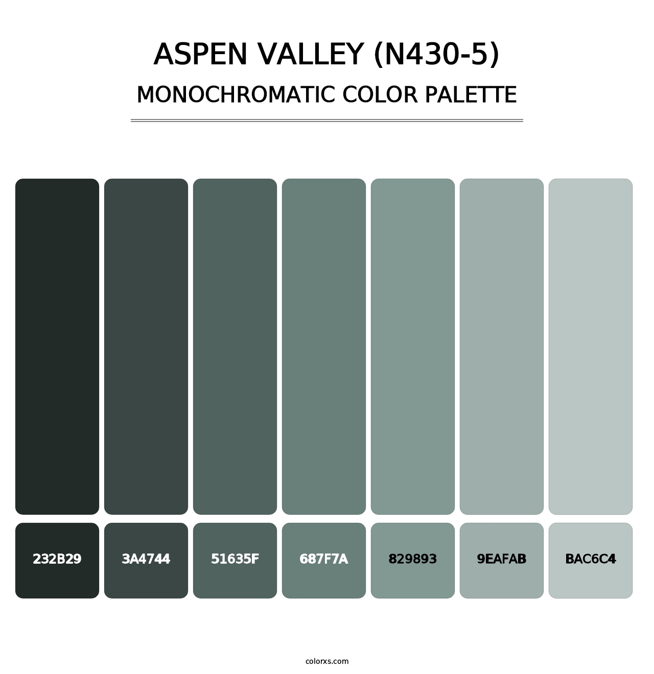 Aspen Valley (N430-5) - Monochromatic Color Palette